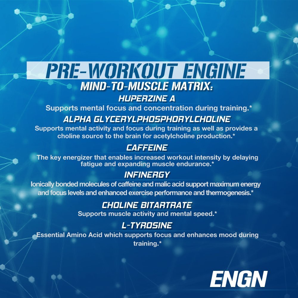 EVL Intense Pre Workout with Creatine - Pre Workout Powder Drink for Lasting Energy Focus Evlution uk supplements