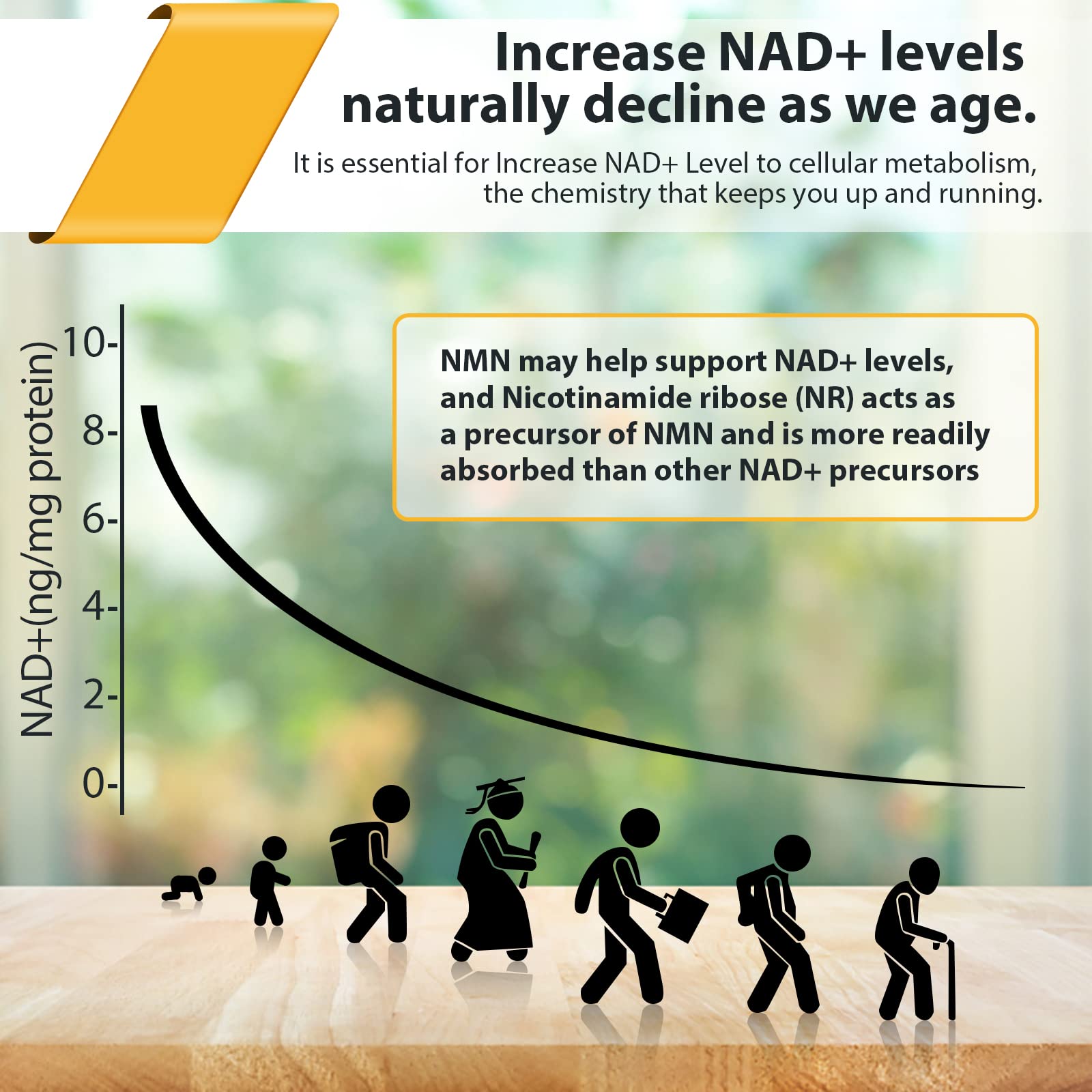 Liposomal Nicotinamide Riboside 2000 MG with TMG and Pterostilbene, Similar to NMN Supplements Boost NAD+, Support Healthy Aging, 240 Count Orgabay uk supplements
