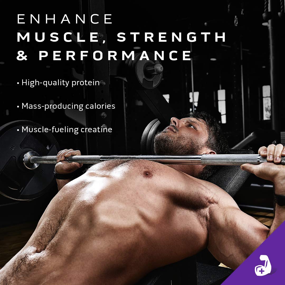 Mass Gainer MuscleTech 100% Mass Gainer Protein Powder Protein Powder for Muscle MuscleTech uk supplements