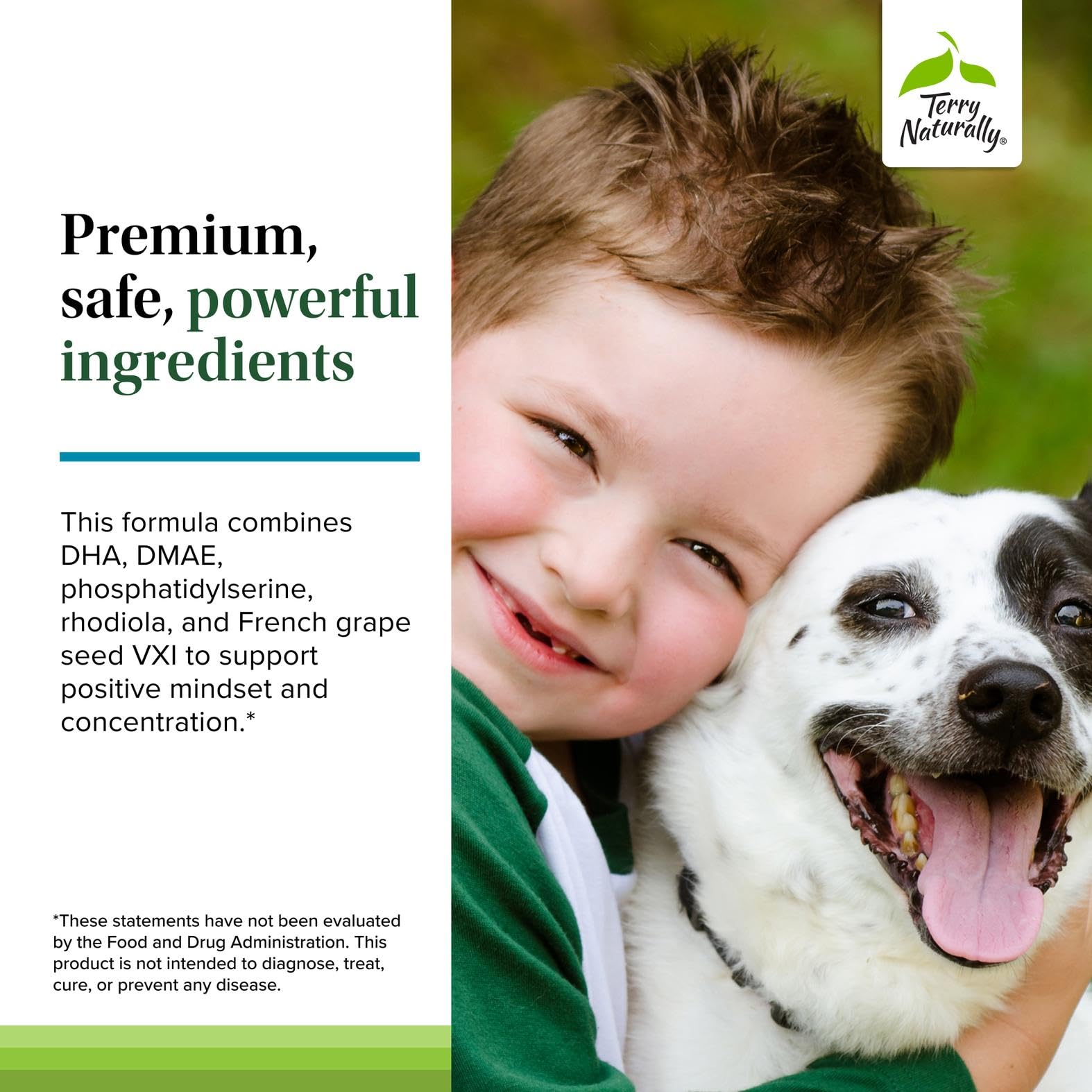Terry Naturally Calm Kids - Calm Child Supplement - Brain Health for Focus, Memory & Concentration - Attention Supplement for Kids - Support Learning & Concentration - 60 Capsules Terry Naturally uk supplements