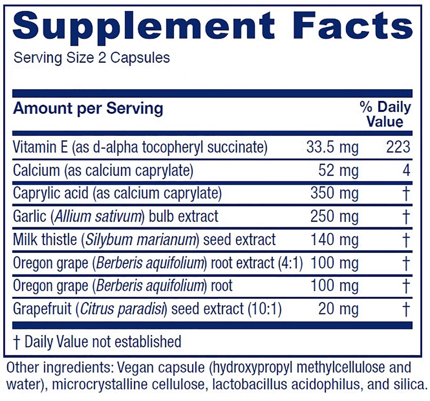 Vitanica Candidastat, Yeast Balance Supplement and Support, Vegan, 120 Capsules Vitanica uk supplements
