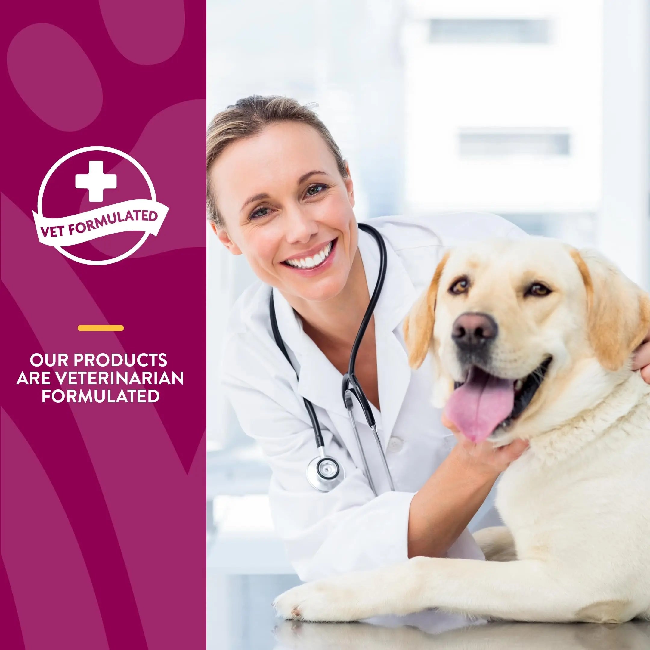 NaturVet – Glucosamine DS Plus - Level 2 Moderate Care – Supports Healthy Hip & Joint Function – Enhanced with Glucosamine, MSM & Chondroitin – for Dogs & Cats–120 Soft Chews NaturVet uk supplements