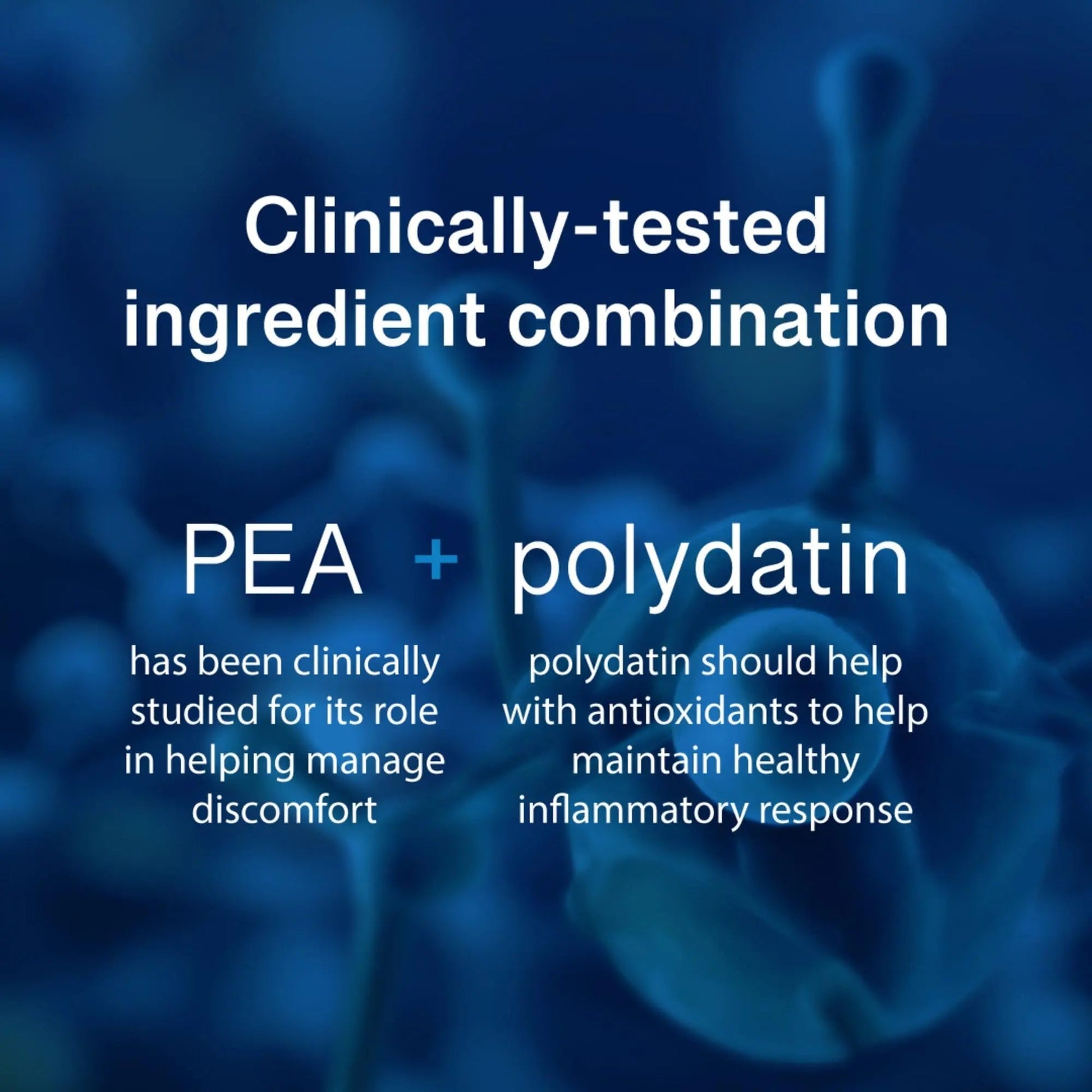 PEAlief Pea + Polydatin – New Bladder & Urinary Comfort Support with Clinically Tested Ingredient Combination — One Pill Per Day, 60 Day Supply PEAlief uk supplements