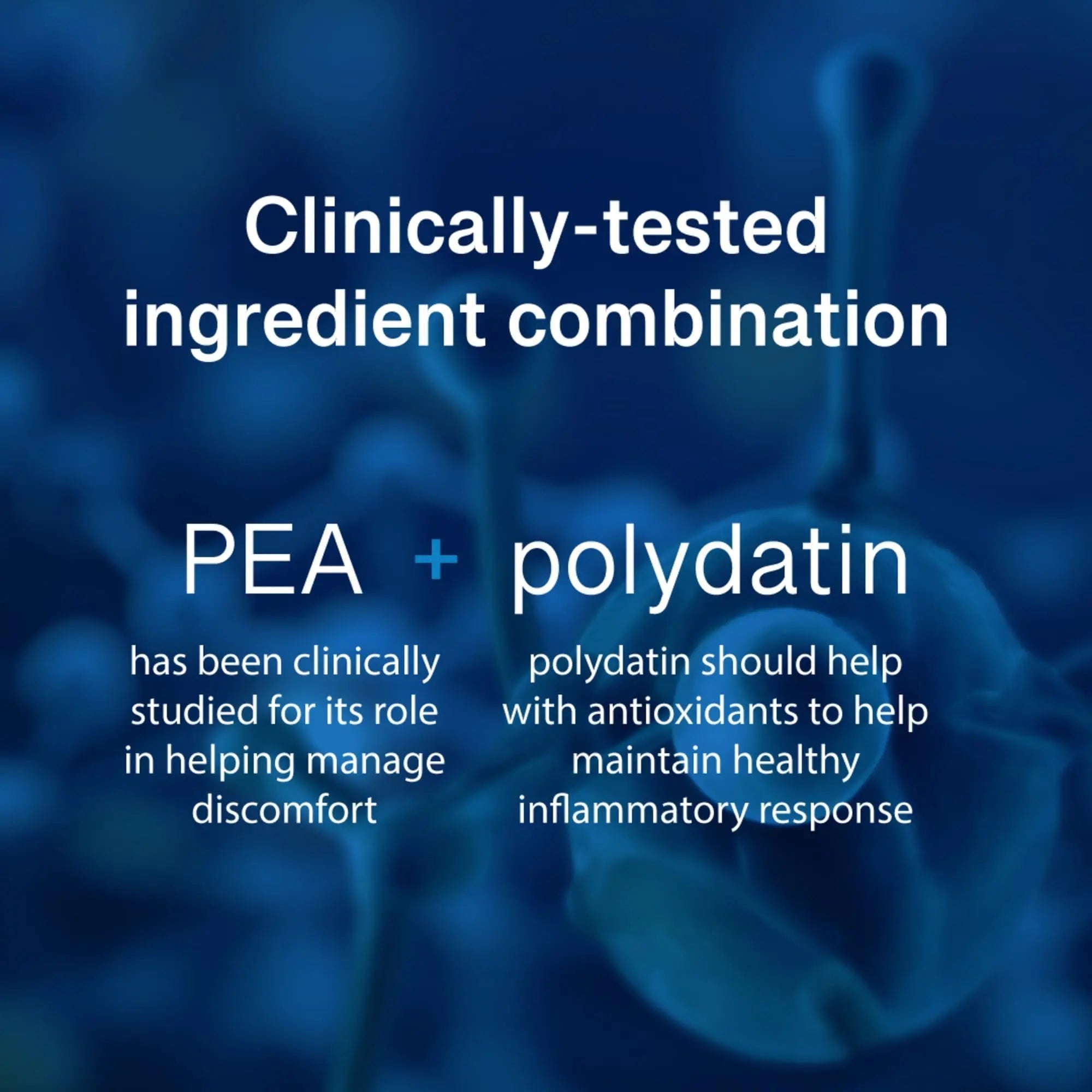 PEAlief Pea + Polydatin – New Bladder & Urinary Comfort Support with Clinically Tested Ingredient Combination — One Pill Per Day, 60 Day Supply PEAlief uk supplements