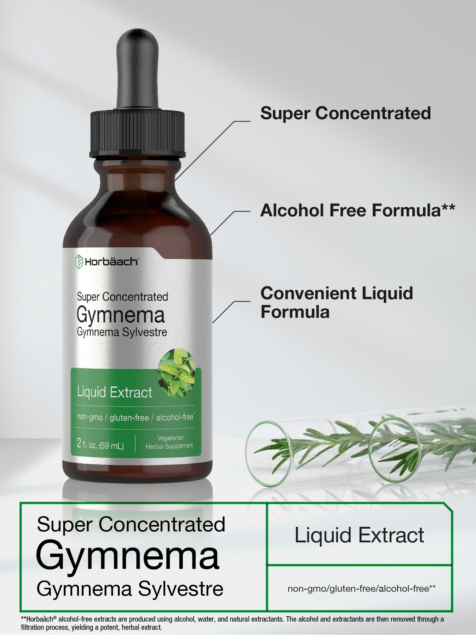 Gymnema Sylvestre Liquid | 2 fl oz | Alcohol Free Supplement | Super Concentrated Horbäach uk supplements