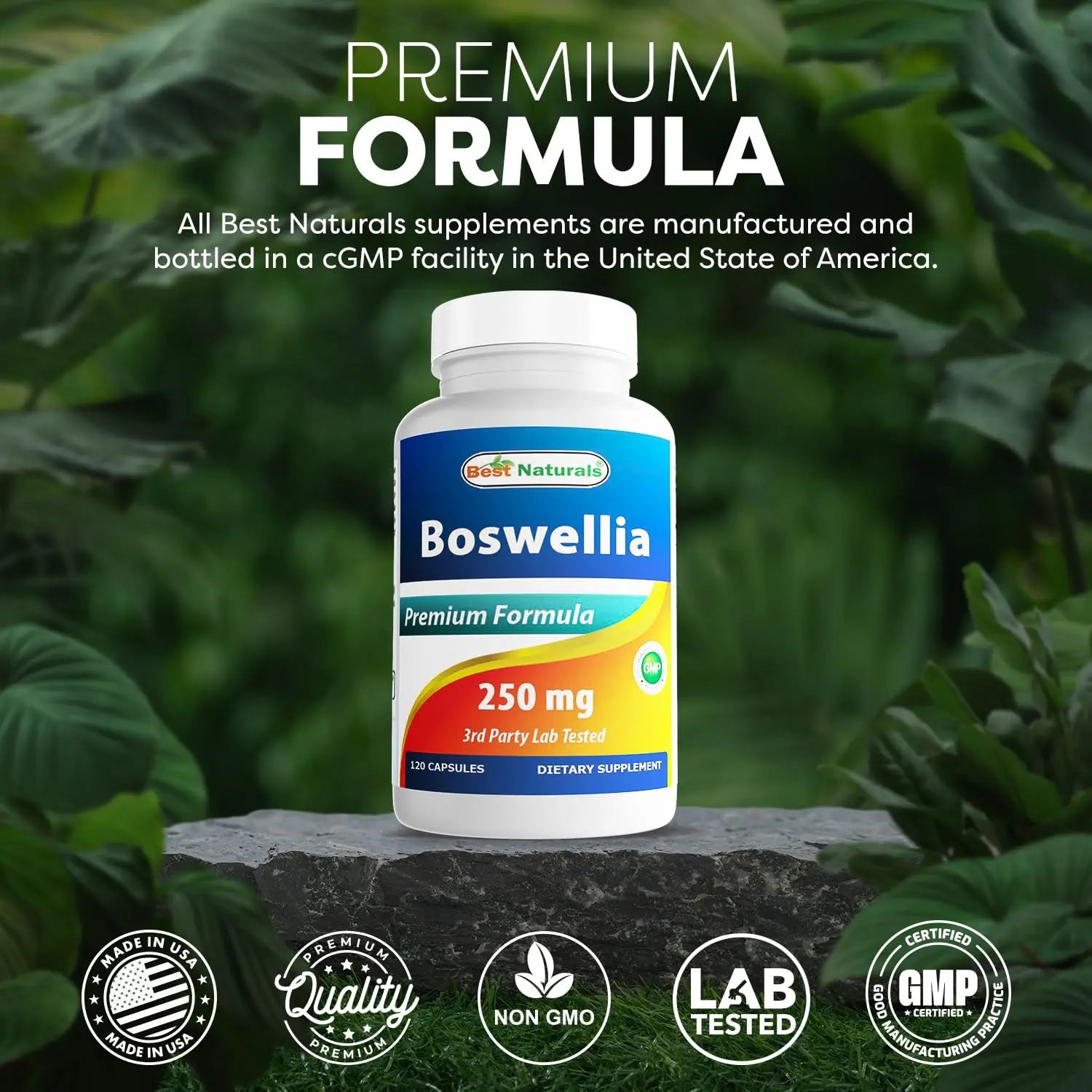 Best Naturals Boswellia Serrata Joint Health 250 mg 120 Capsules - Standardized to 65% Boswellic Acid (120 Count (Pack of 3)) Best Naturals uk supplements