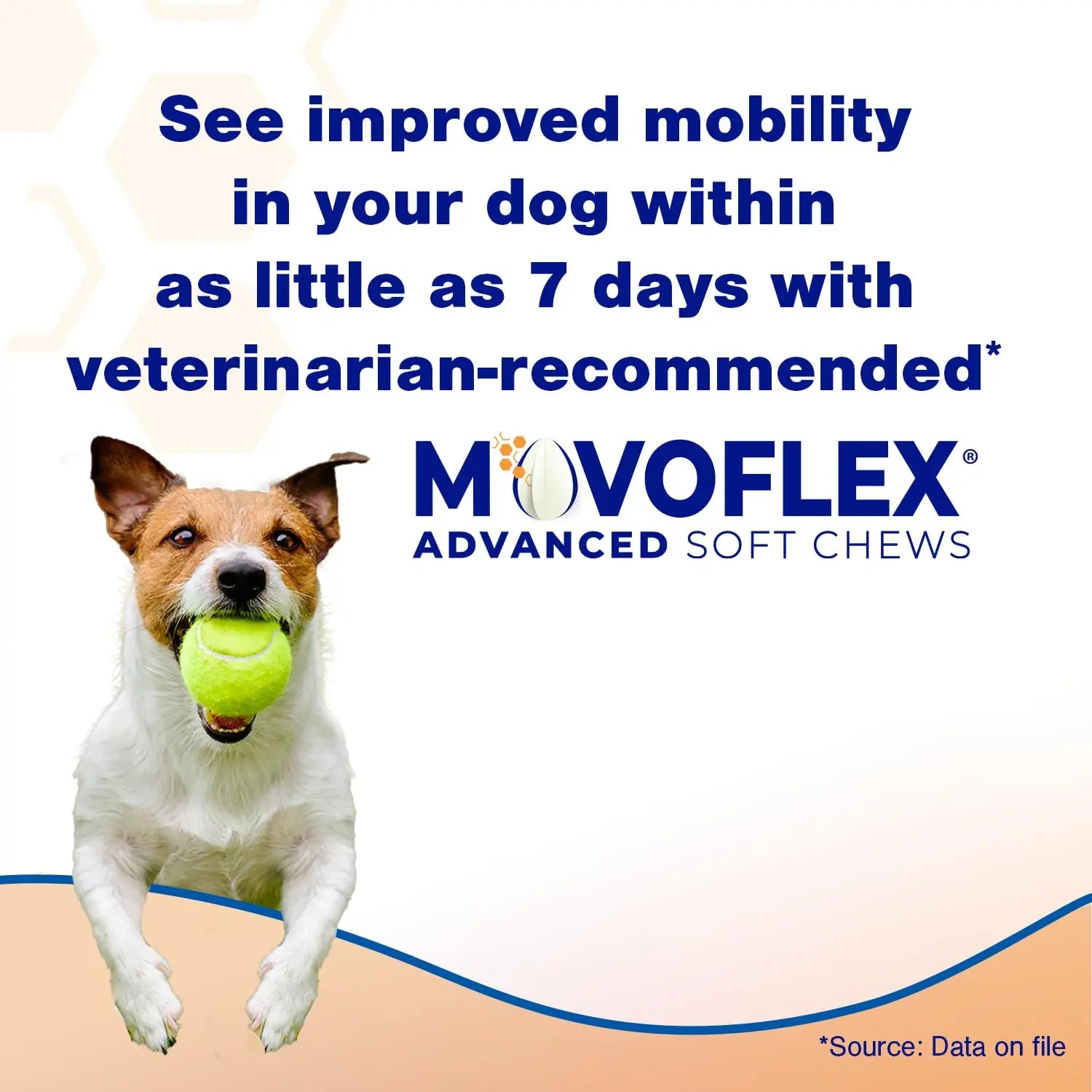 MOVOFLEX Advanced Soft Chews Hip Joint Support Supplement for Large Dogs 60 Count by Virbac MOVOFLEX uk supplements