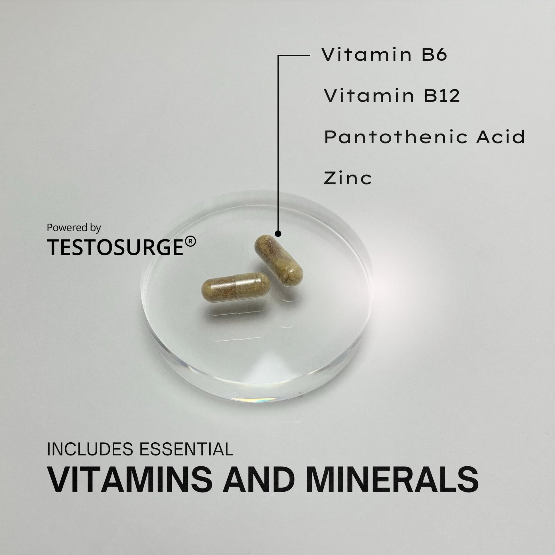 EPIC-T Testosterone Support Supplement for Men | Plant-Based Formula with Testosurge, B-Complex, B12, Zinc & Boron | Vegan, Non-GMO Daily Support EPIC uk supplements