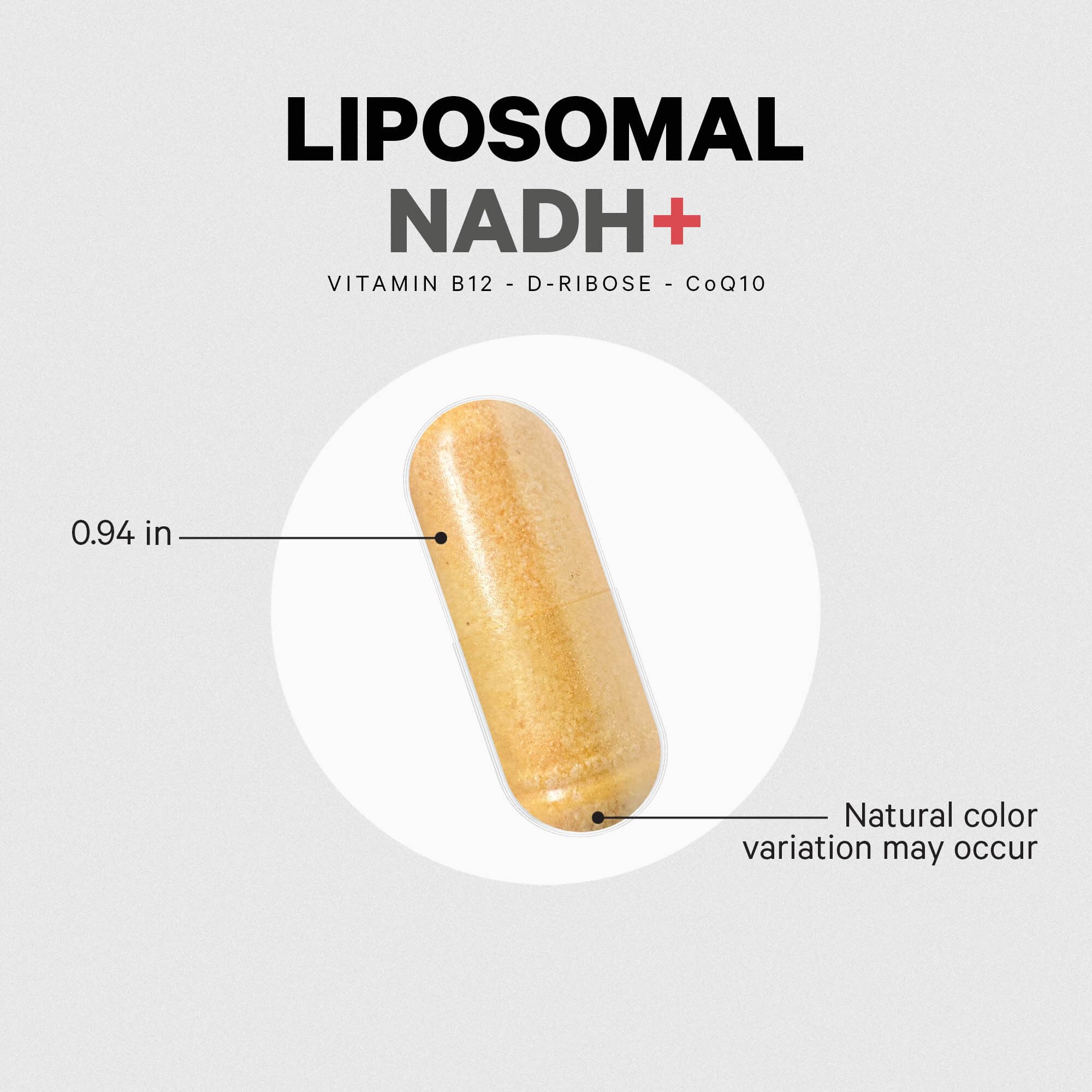 Codeage Liposomal NADH+ Supplement - NADH, Vitamin B12, D-Ribose as Bioenergy Ribose, CoQ10-2-Month Supply - Liposomal Delivery - β-Nicotinamide Adenine Dinucleotide Pills - Non-GMO - 60 Capsules Codeage uk supplements