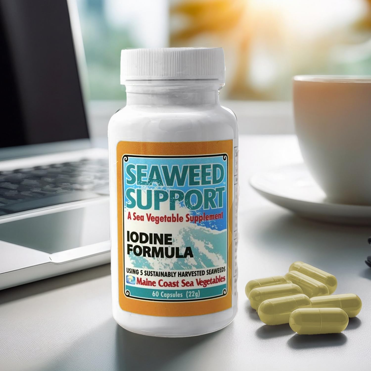 Maine Coast Sea Vegetables Seaweed Support Iodine Formula | Source of Iodine from Seaweed | Daily Use Iodine Supplement | Organic Alaria, Rockweed, Sea Lettuce, Dulse & Bladderwrack blend | 60 Capsule Maine Coast Sea Vegetables uk supplements