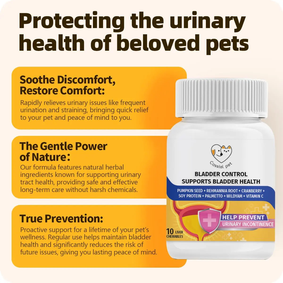 Cassiel Pet Bladder Supports Chews for Urinary Tract Health, Infection Treatments, Bladder Health, Dog UTI, Bladder Stones, Incontinence Support, Urinary Pain Relief for Cat & Dog 10 Chews (1 Bottle) Cassiel pet uk supplements