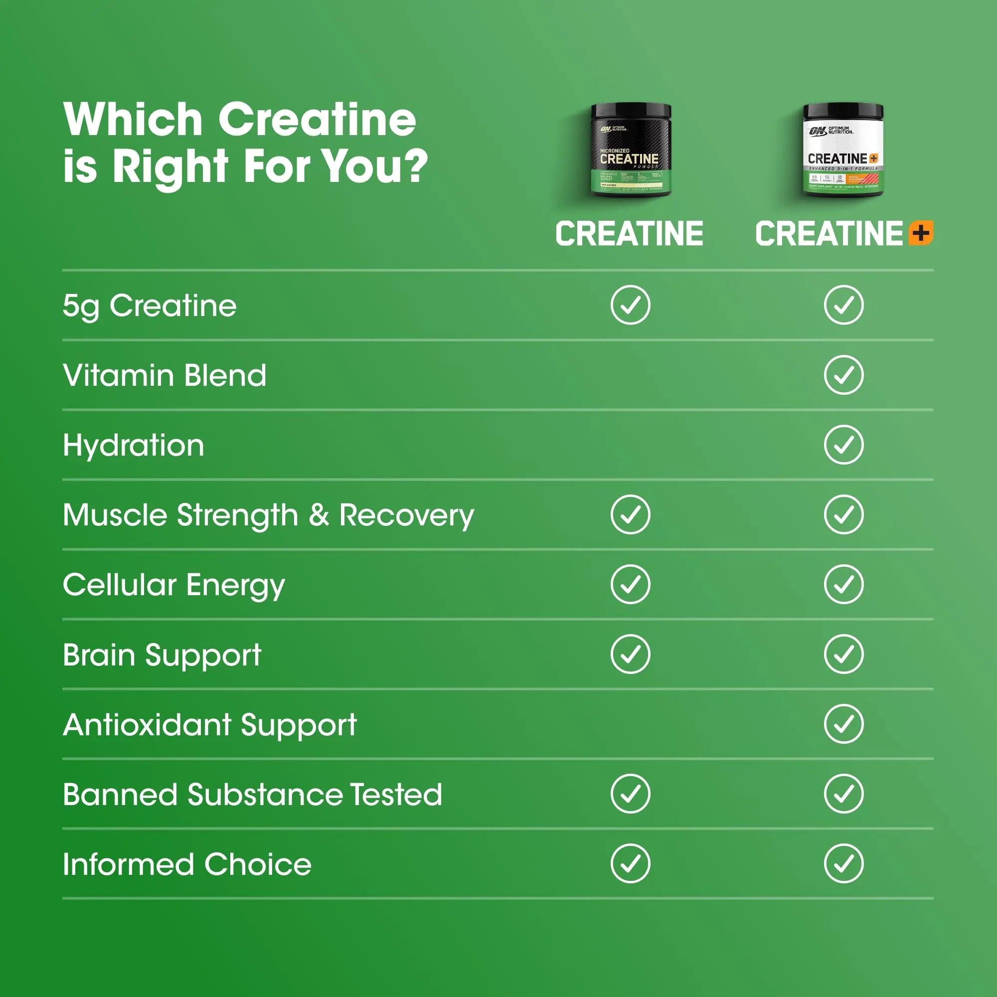 Optimum Nutrition Creatine Monohydrate Plus Powder, Orange Passionfruit Flavored Creatine Performance Blend With Electrolytes for Hydration, Added Vitamins, 40 Servings, 360 Grams (Packaging May Vary) Optimum Nutrition uk supplements
