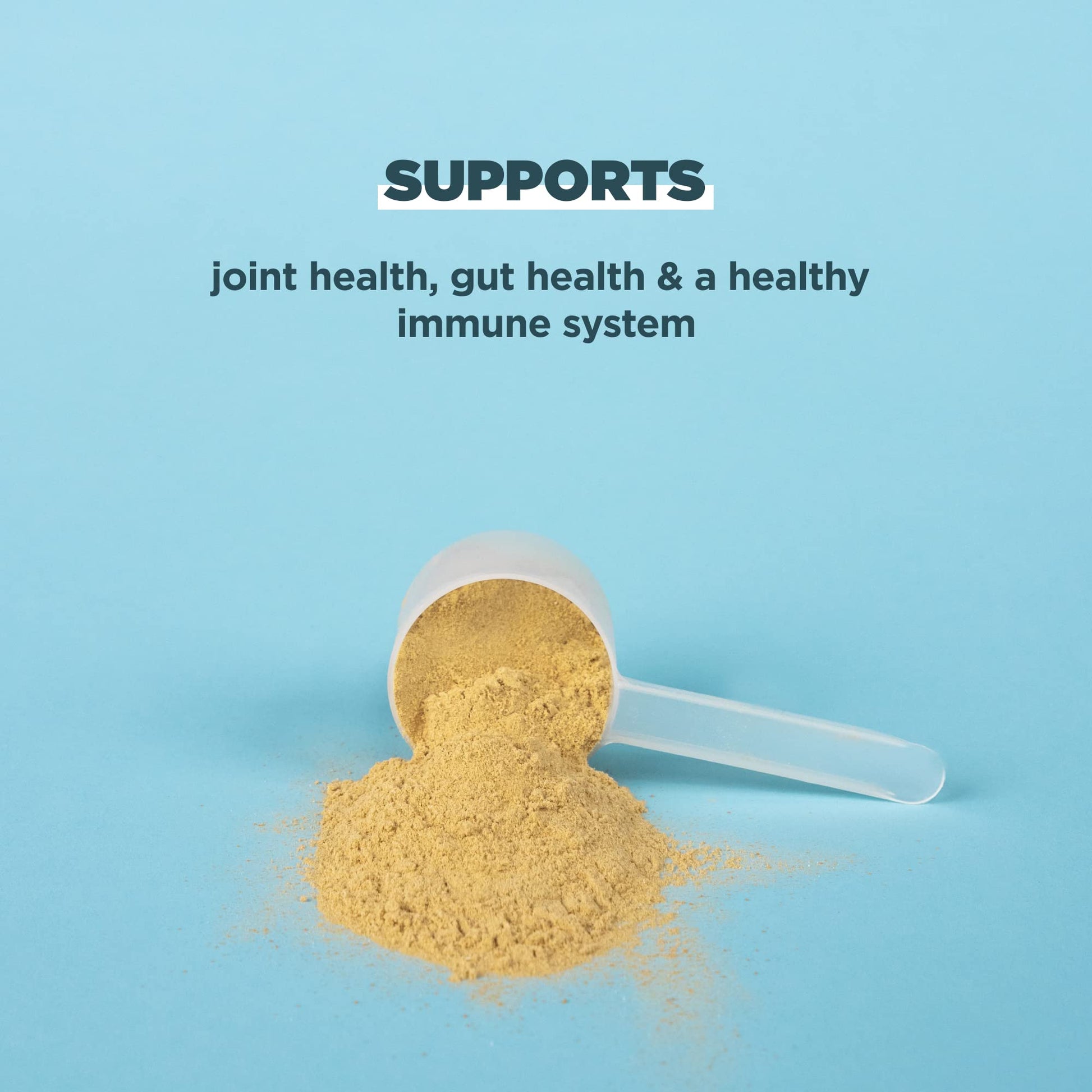 Ancient Nutrition Bone Broth Protein Powder, Pure Flavor, 20 Servings Size Ancient Nutrition uk supplements