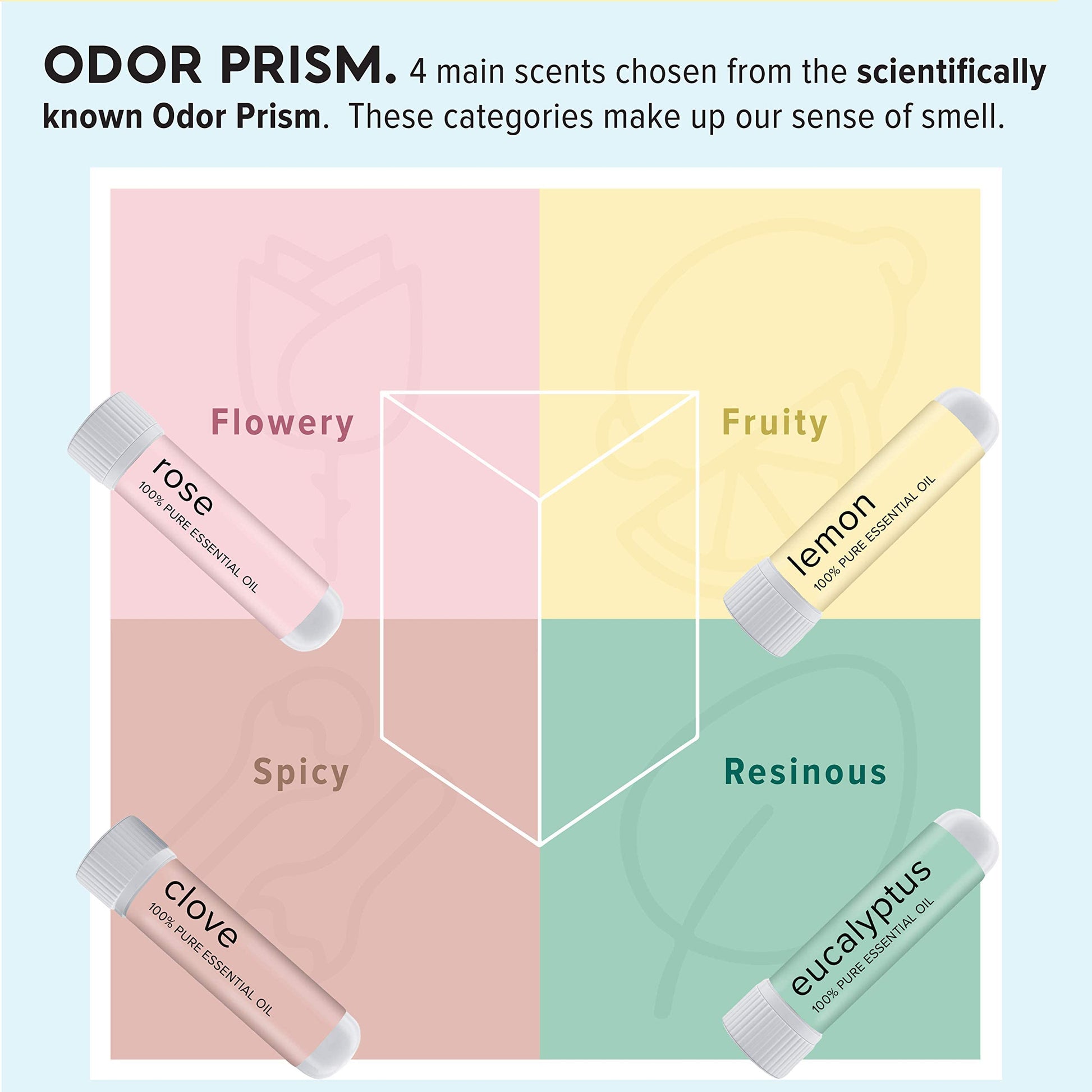 MOXĒ Smell Training Kit, Made in USA, 4 Essential Oils, Olfactory Regeneration, Helps Restore Sense MOXE uk supplements