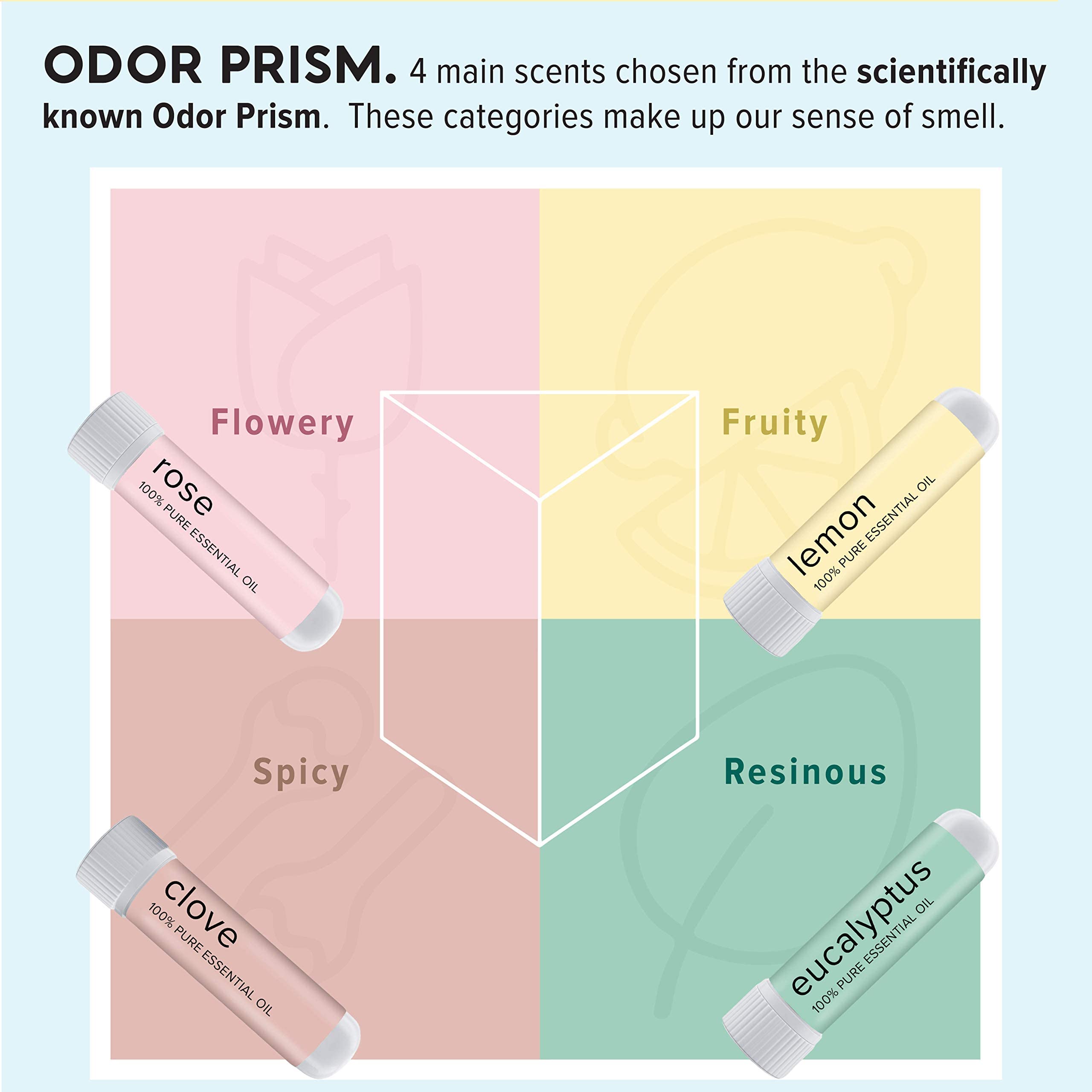 MOXĒ Smell Training Kit, Made in USA, 4 Essential Oils, Olfactory Regeneration, Helps Restore Sense MOXE uk supplements
