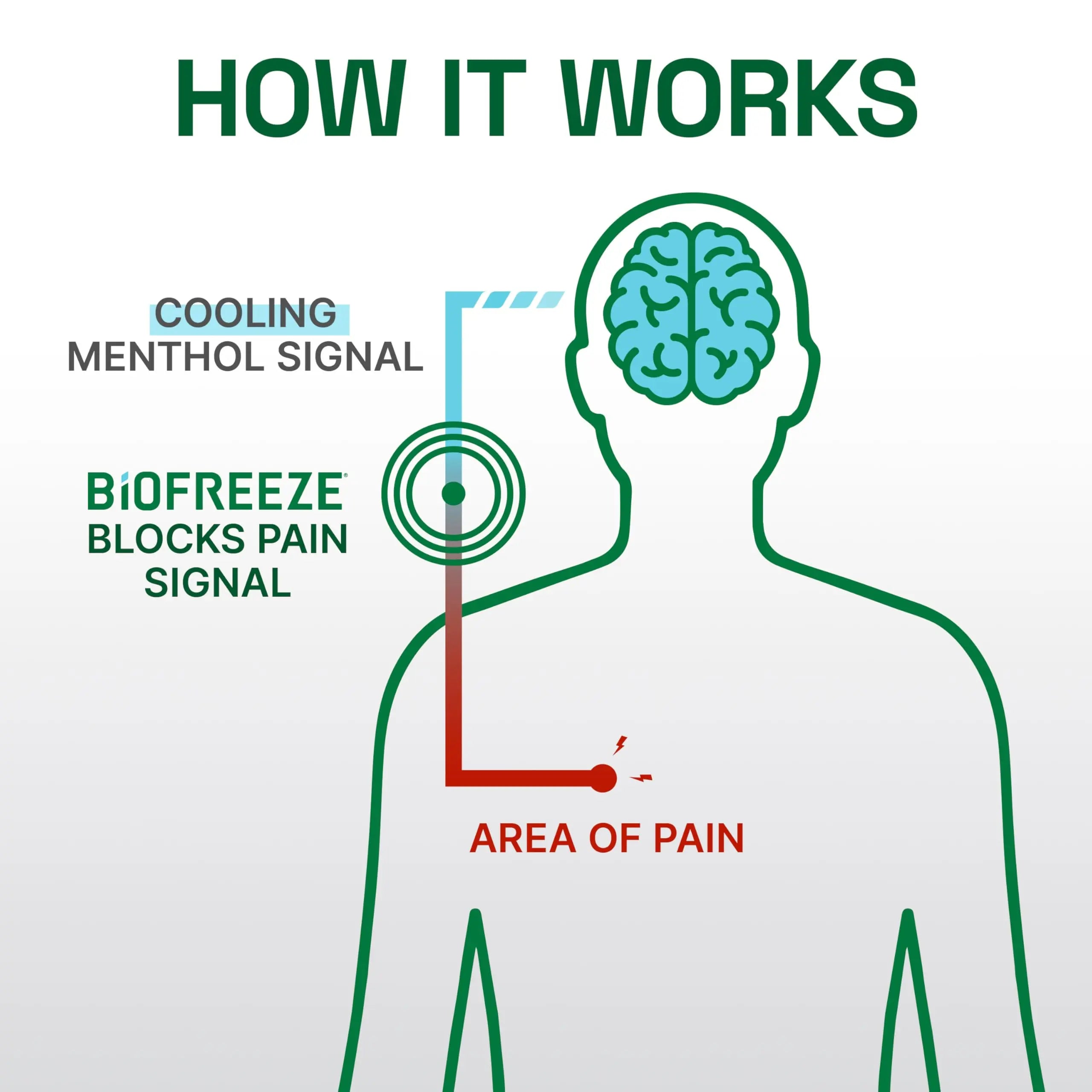 Biofreeze Professional Pain Relief Roll On, Knee & Lower Back Pain Relief, Arthritis Pain Reliever, Neck Pain Relief, Cooling Joint Pain Relief, Roll-On Menthol Gel 3 Fl Oz (Pack of 2) Biofreeze uk supplements
