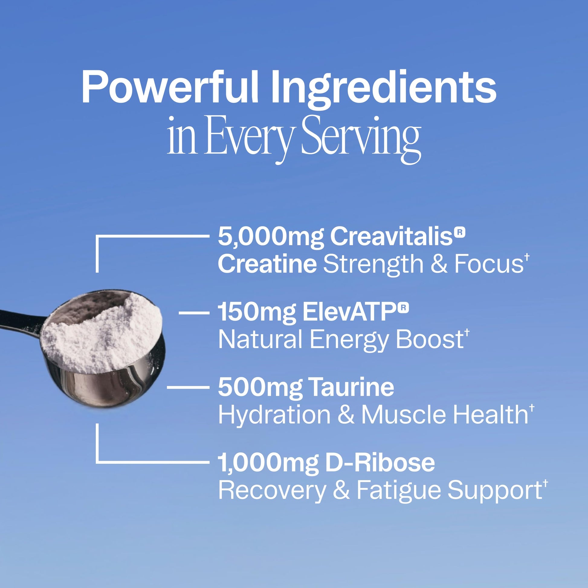 Ora Organic Creatine Monohydrate Powder - German-Sourced Creavitalis for Strength, elevATP for Energy, D-Ribose & Taurine for Recovery - Creatine for Women & Men - Acai Berry Flavor, 30 Servings Ora Organic uk supplements