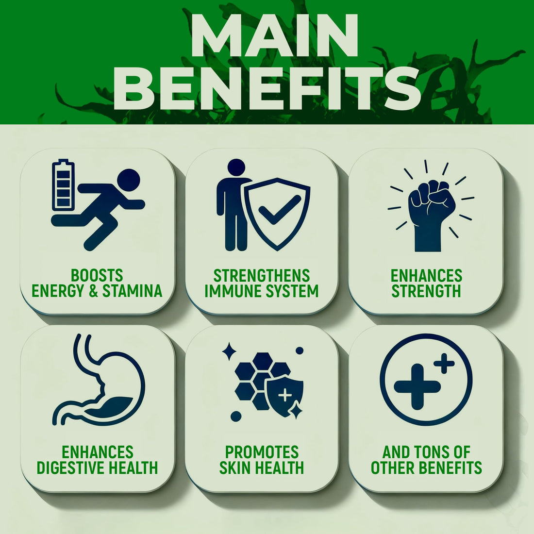 Sea Moss Black Seed Oil Ashwagandha Ginger - Advanced Irish Sea Moss Capsules All in One Supplement with Seamoss Black Seed Oil Ashwagandha Burdock Root Bladderwrack - Pills for Energy, Immune, Gut Opti Health uk supplements