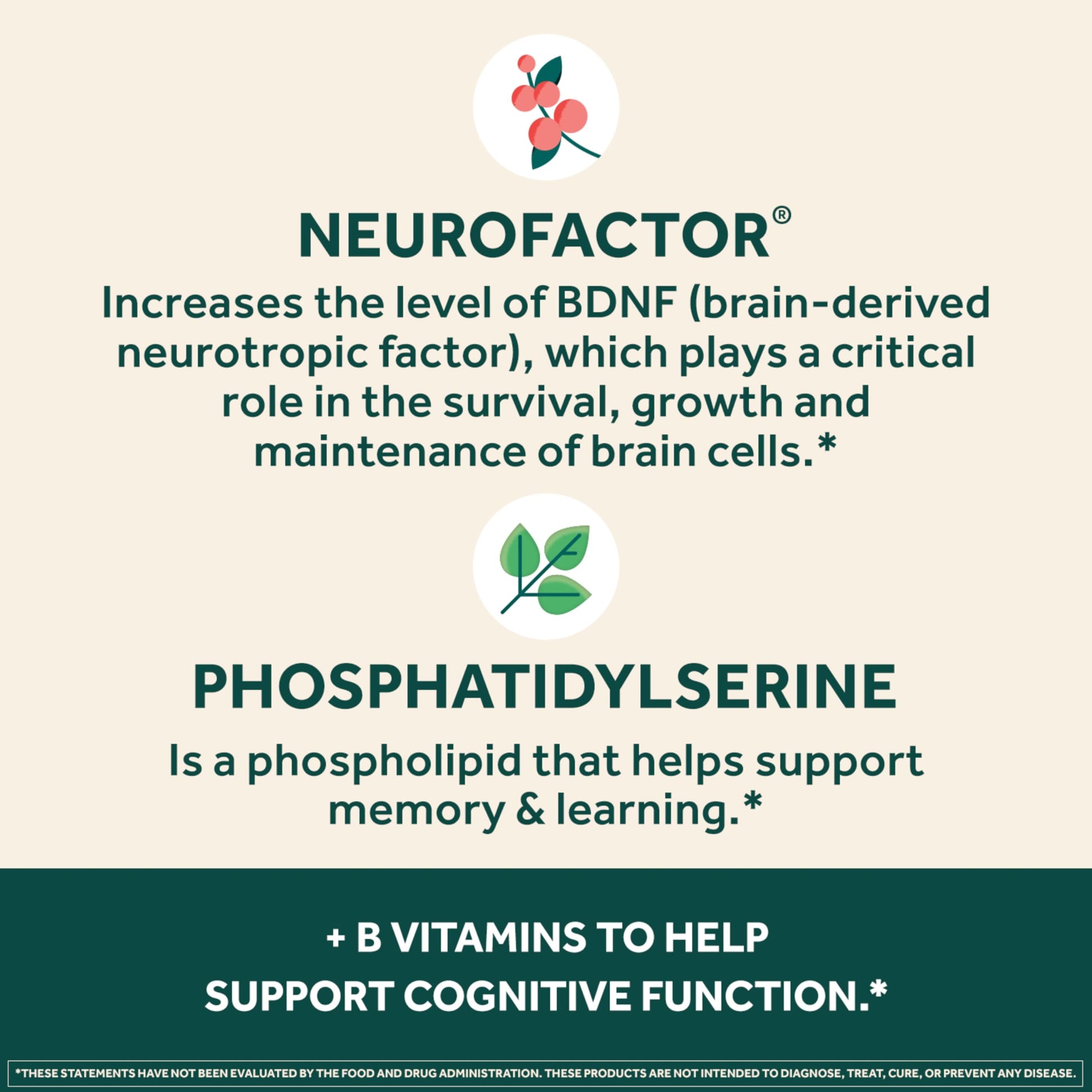 NEURIVA Plus Brain Supplement for Memory and Focus Clinically Tested Nootropics for Concentration for Mental Clarity, Cognitive Enhancement Vitamins B6, B12, Phosphatidylserine 30 Capsules NEURIVA uk supplements
