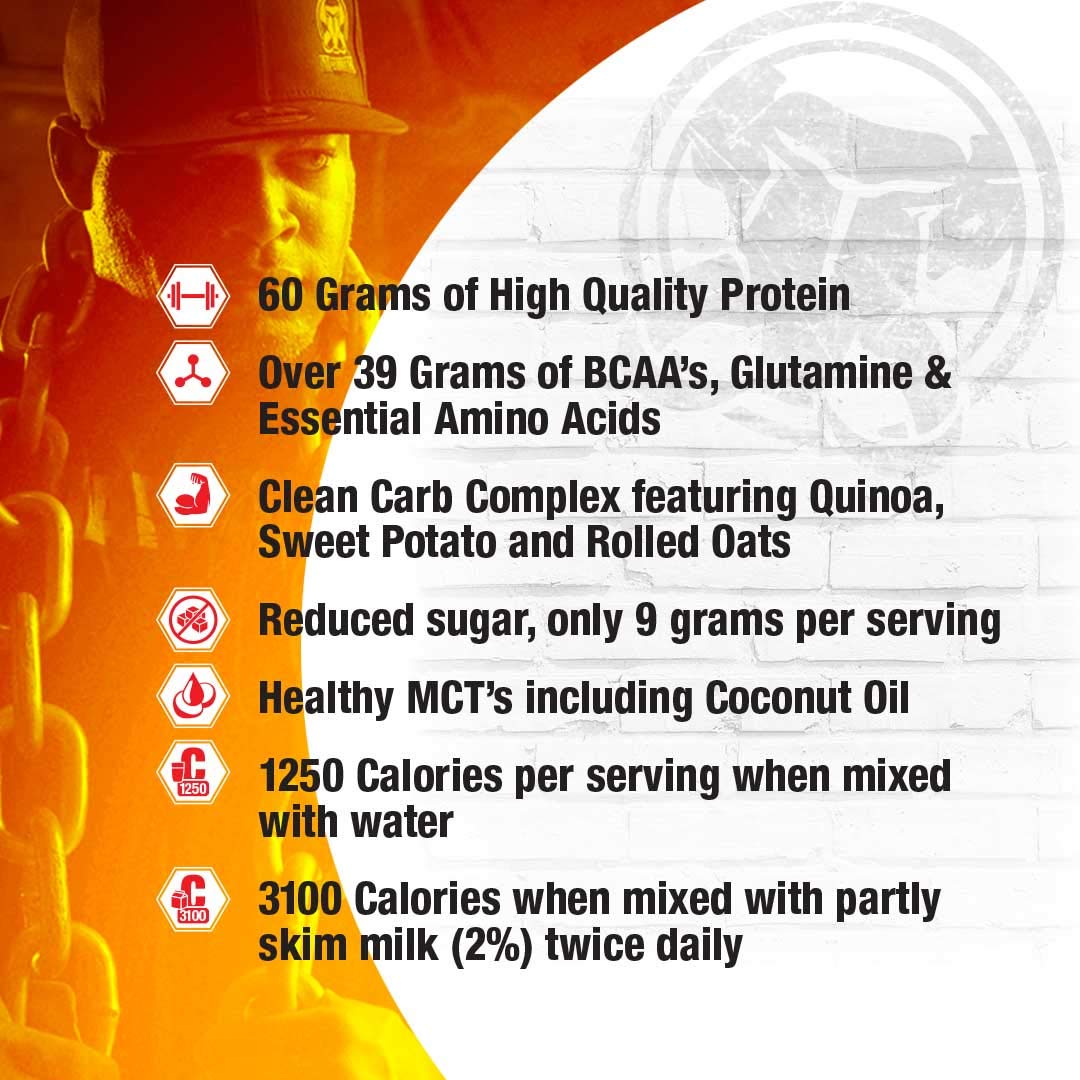 Inter-Active Nutrition Mammoth Mass Supplement, 2.27kg Strawberry Mammoth uk supplements