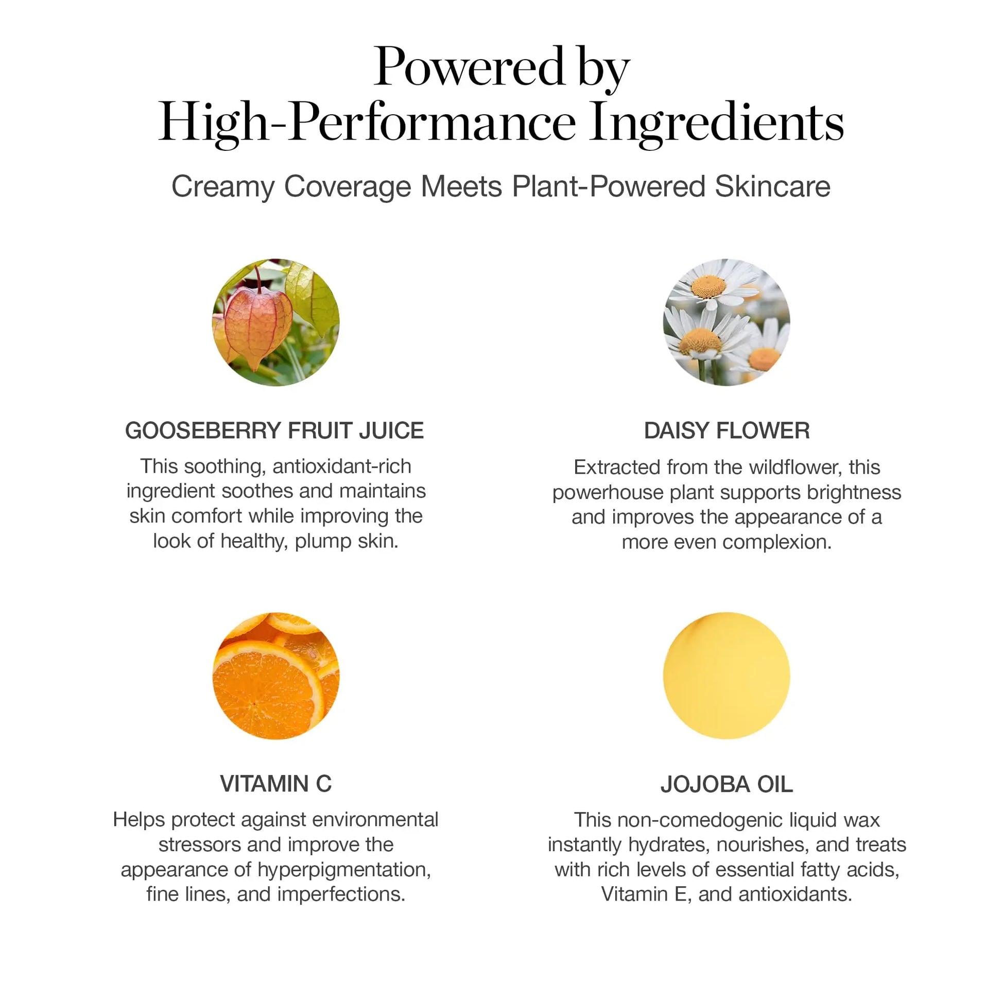 Ogee Complexion Perfecting Liquid Foundation - Lightweight Tinted Moisturizer For Face (Spruce 12.75N - Deep, Bronze Undertones) - with Vitamin C & Jojoba Oil - Certified Organic & Made in USA Ogee uk supplements