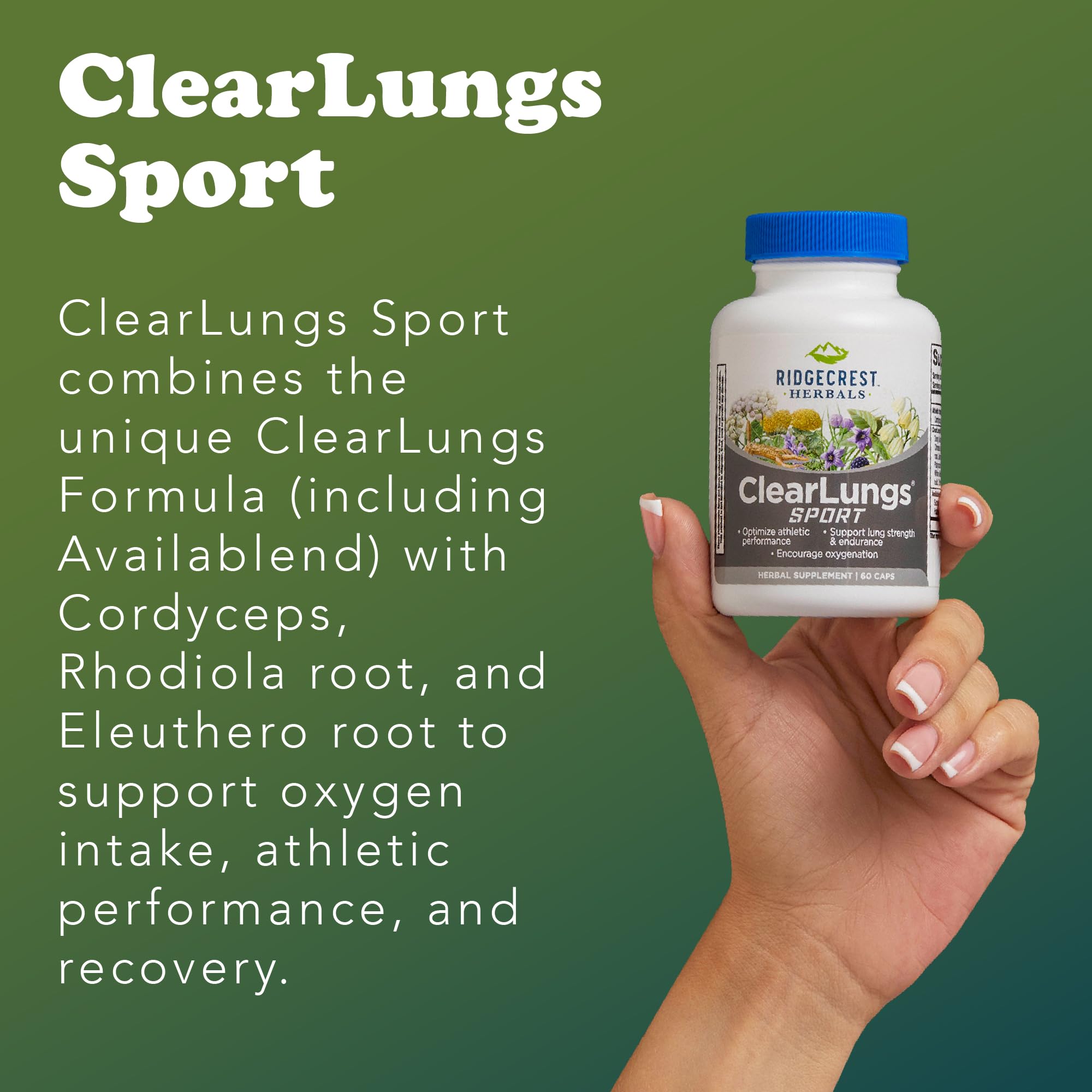Ridgecrest Herbals ClearLungs Sport, Oxygen Intake and Lung Support Formula with Cordyceps, Rhodiola, Eleuthero (60 Vegan Caps, 30 Serv) RidgeCrest Herbals uk supplements