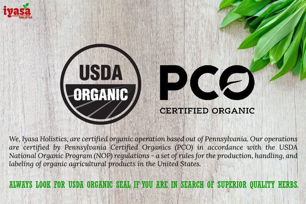 Iyasa Organic Beet Root Powder, Plant Based, Vegan, Gluten-Free, Beetroot Superfood Iyasa Holistics uk supplements