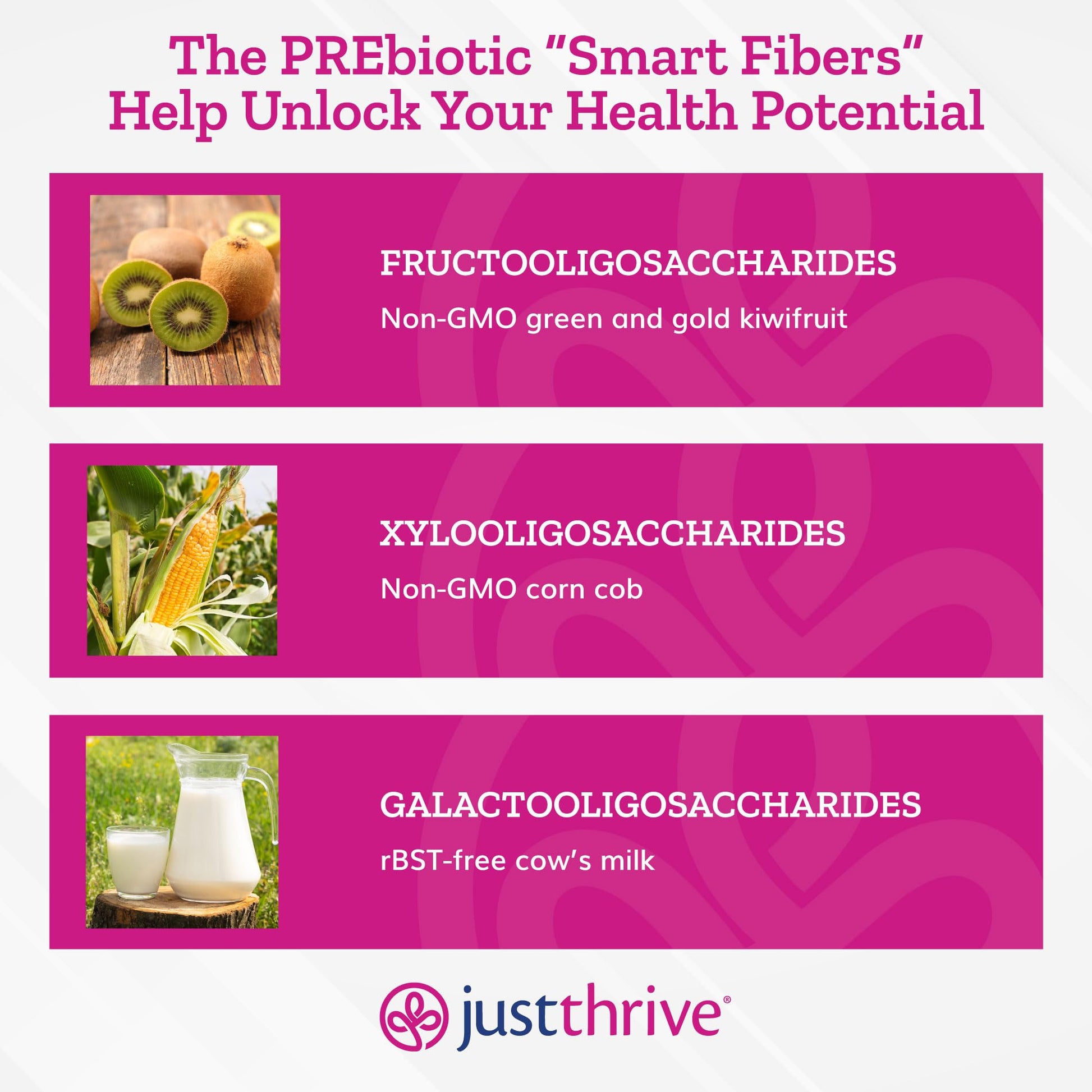 Just Thrive PREbiotic Powder - Digestive and Immune Support Supplement, 150 g Just Thrive uk supplements