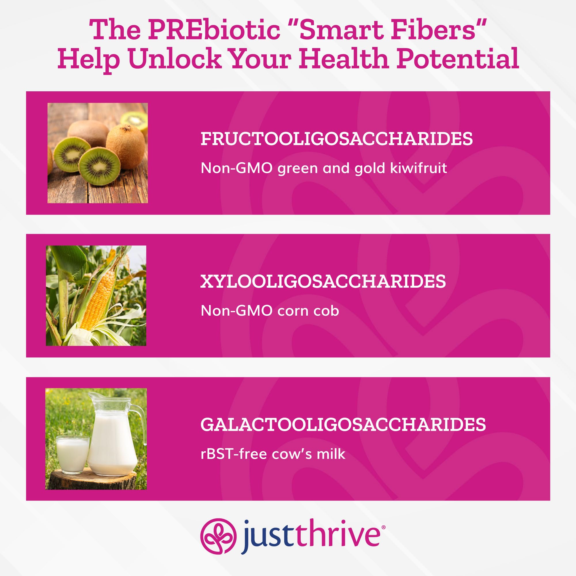 Just Thrive PREbiotic Powder - Digestive and Immune Support Supplement, 150 g Just Thrive uk supplements