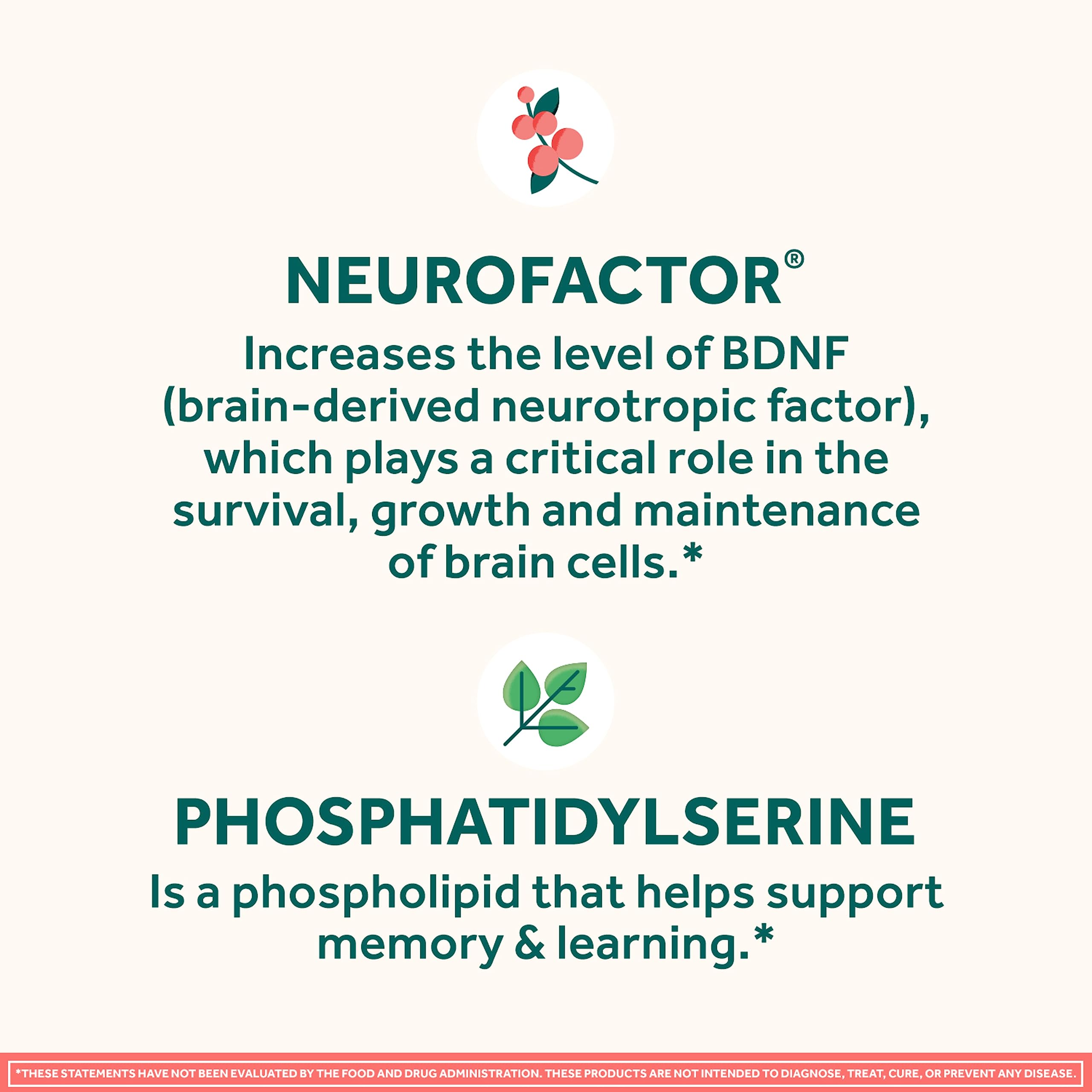 NEURIVA Original Brain Supplement for Memory, Focus & Concentration + Learning & Accuracy with Clinically Tested Nootropics Phosphatidylserine and Neurofactor, Strawberry Flavor, 50 Gummies NEURIVA uk supplements