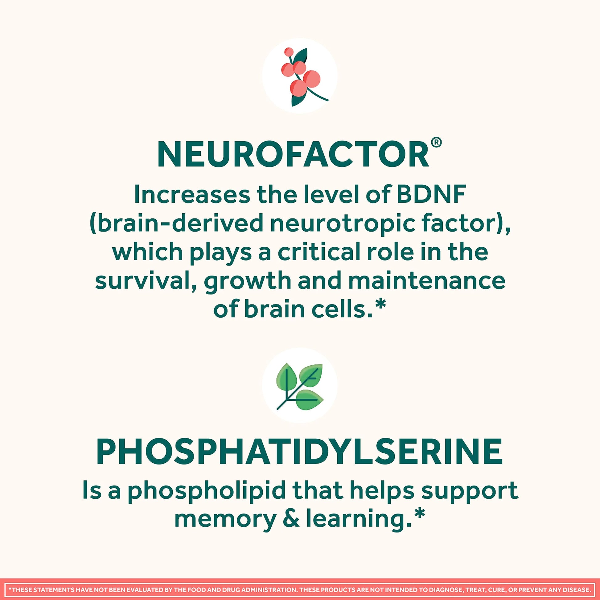 NEURIVA Original Decaffeinated Clinically Tested Nootropic Brain Supplement for Memory, Focus & Concentration, NeuroFactor & Phosphatidylserine, 28ct Capsules NEURIVA uk supplements