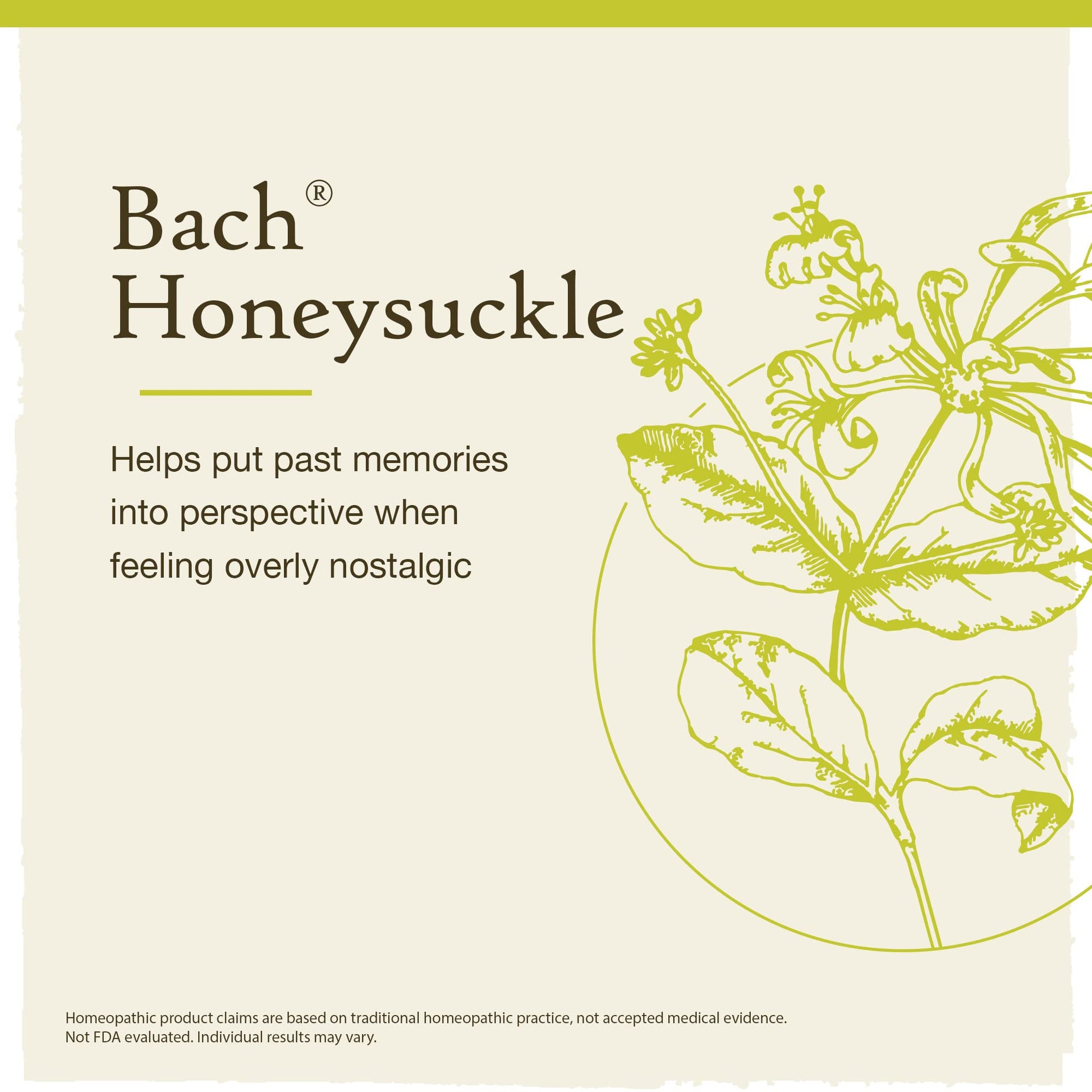 Bach Original Flower Remedies, Honeysuckle for Embracing The Now (Non-Alcohol Formula) Bach uk supplements