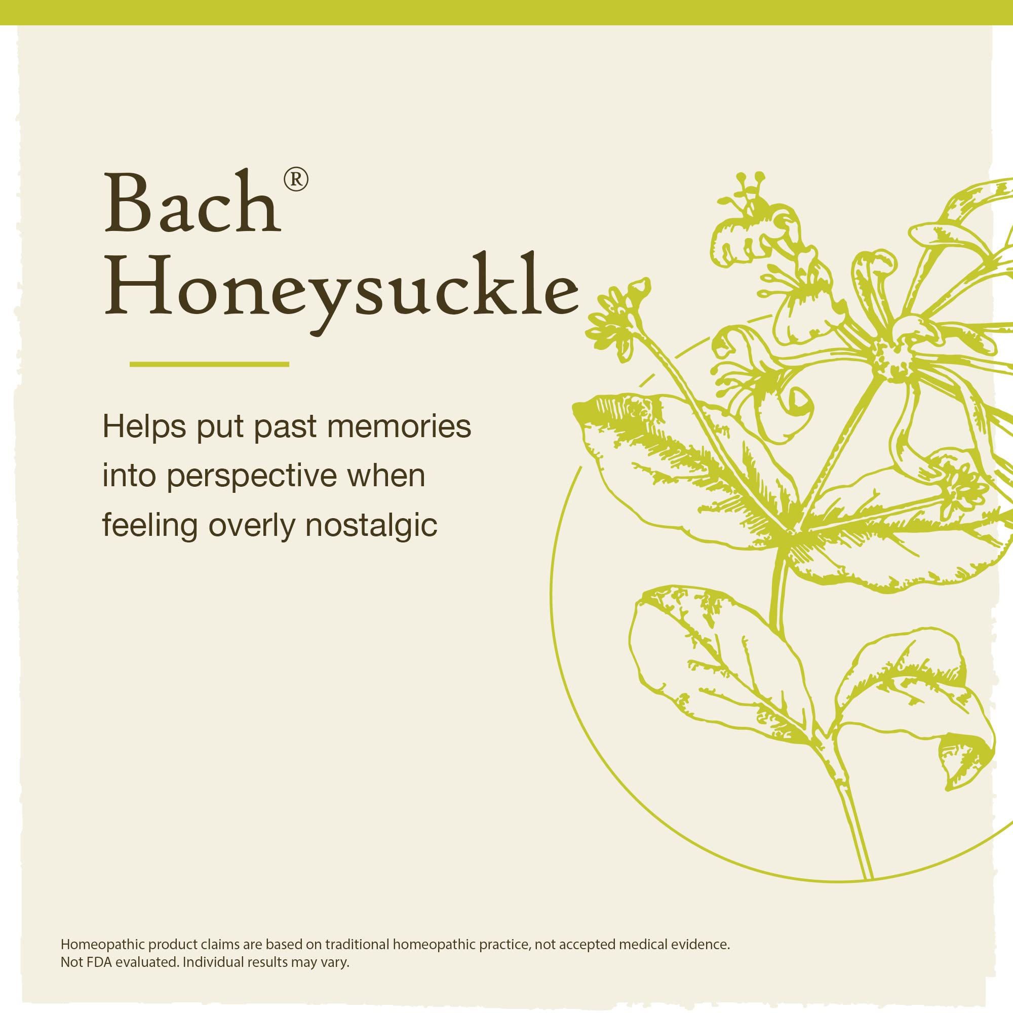 Bach Original Flower Remedies, Honeysuckle for Embracing The Now (Non-Alcohol Formula) Bach uk supplements