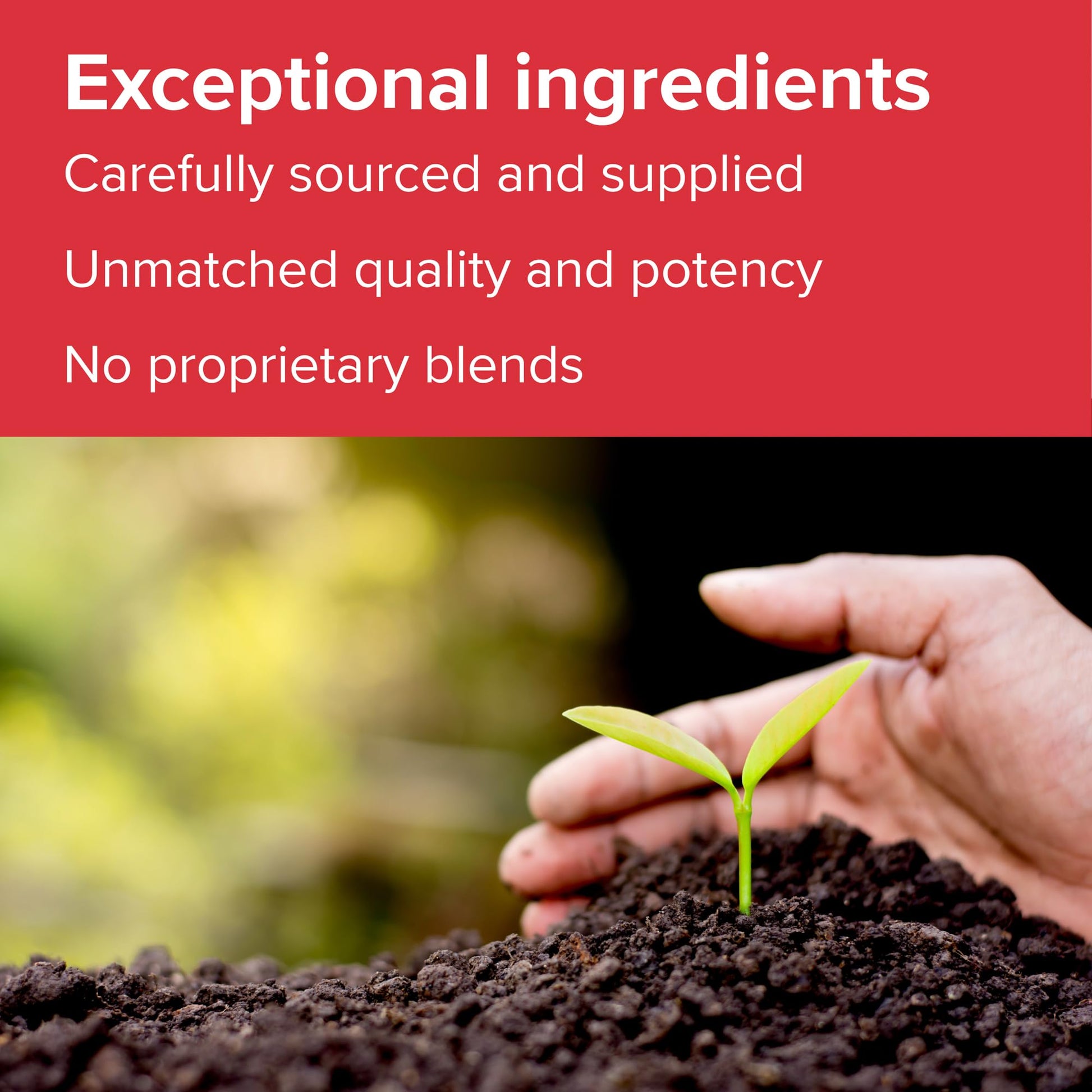 Vibrant Health - Super Natural Boron, Support for Healthy Joints, Hormone Levels, and Connective Tissue with Calcium Fructoborate and Broccoli Powder, Gluten Free, Vegetarian, Non-GMO, 60 Count Vibrant Health uk supplements