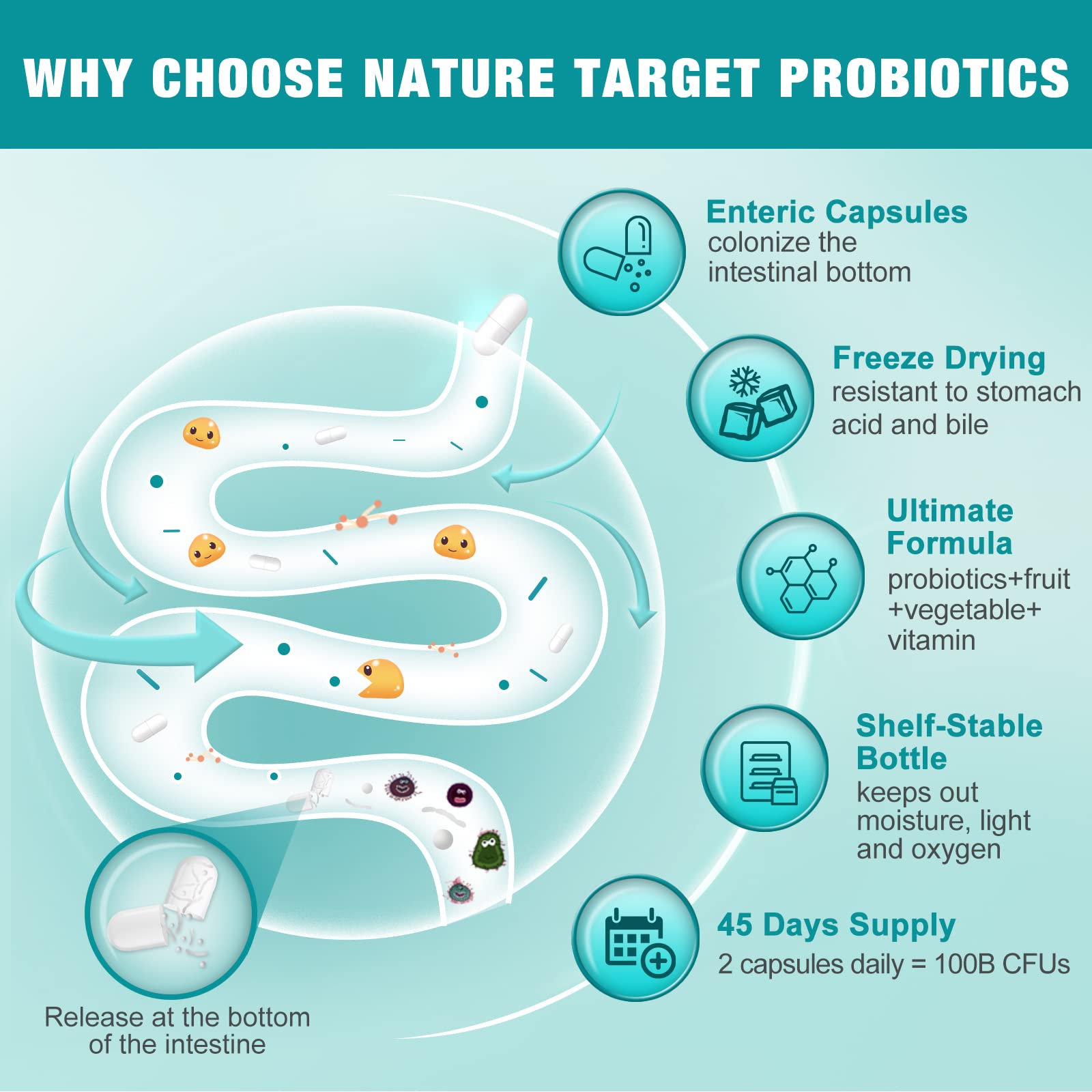 Probiotics for Women-Men-Kids Digestive Health, Prebiotics and Probiotics for Women NATURE TARGET uk supplements