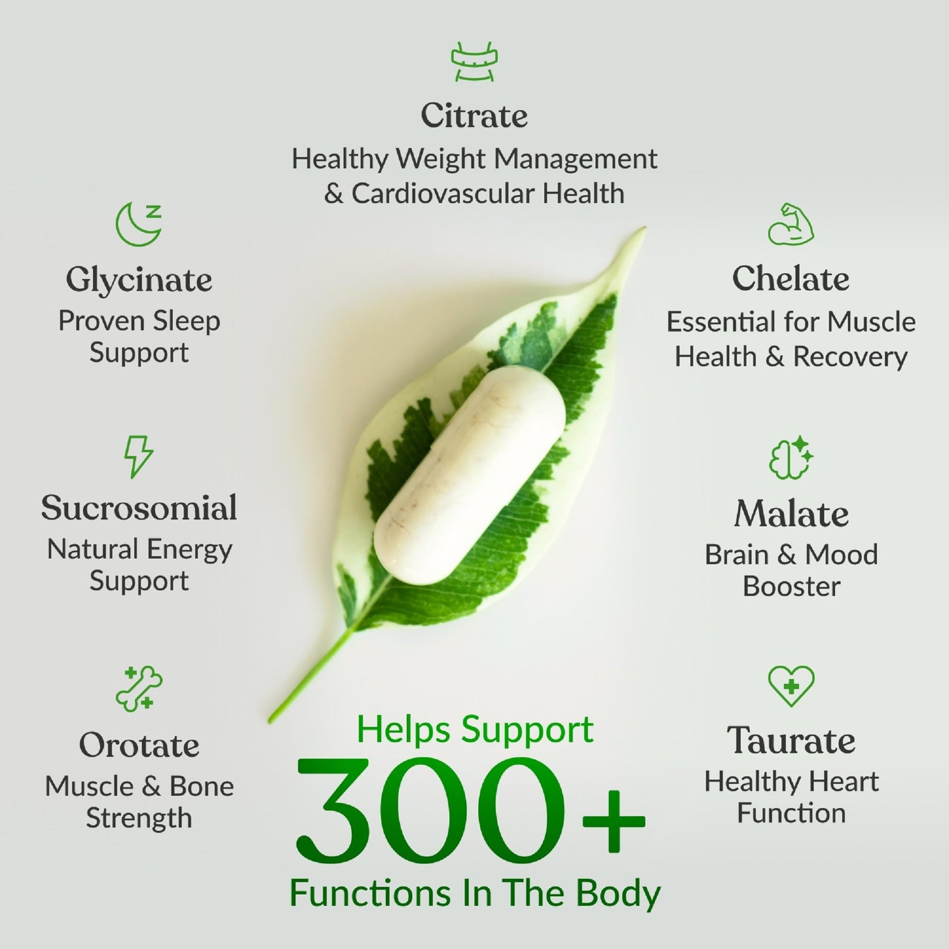 BIOptimizers Magnesium Breakthrough Supplement with 500mg - 7 Forms of Magnesium: Glycinate, Malate, Citrate, and More - Natural Support for Sleep and Cognitive Function -90 Capsules- Calming Vitamins BIOptimizers uk supplements
