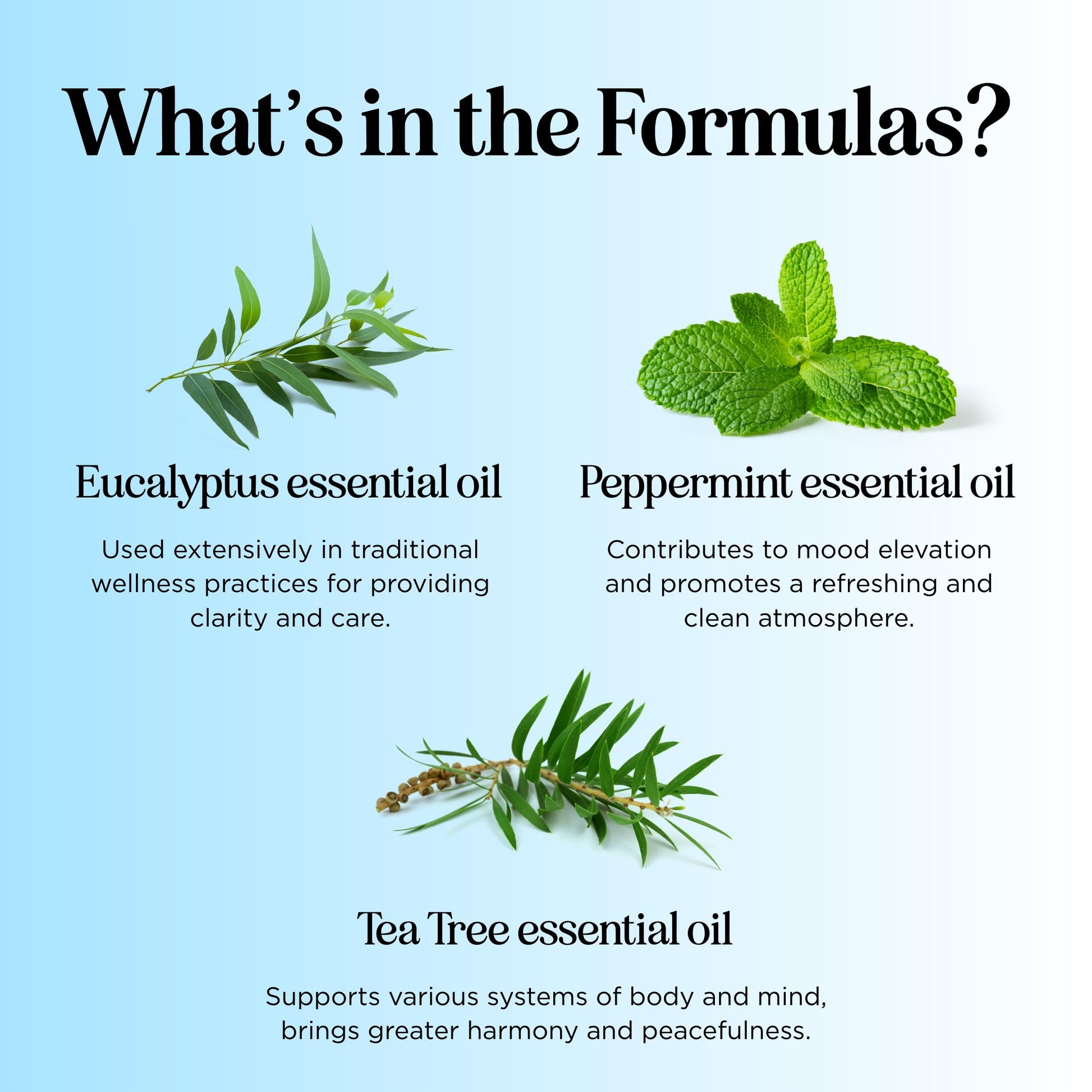 Headache Roll on Essential Oils - Aromatherapy Essential Oils Sets Variety Pack with Peppermint Clarify Maple Holistics uk supplements