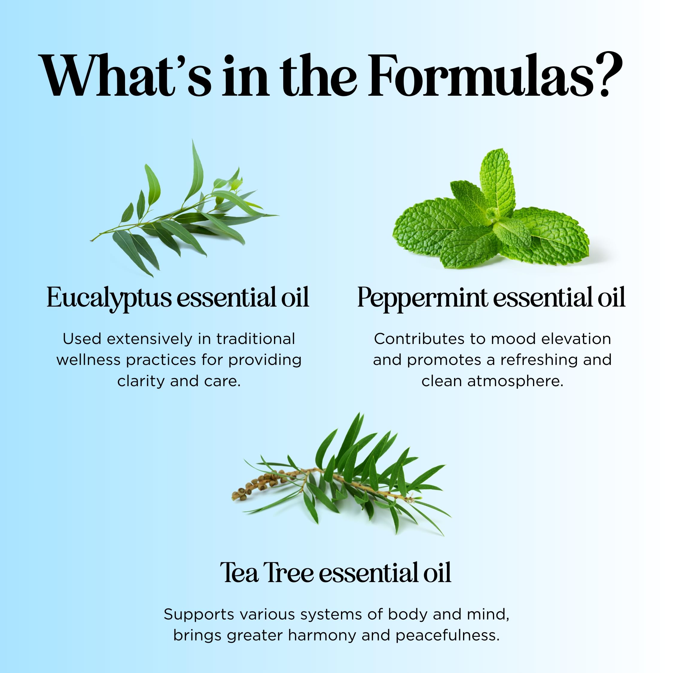 Headache Roll on Essential Oils - Aromatherapy Essential Oils Sets Variety Pack with Peppermint Clarify Maple Holistics uk supplements