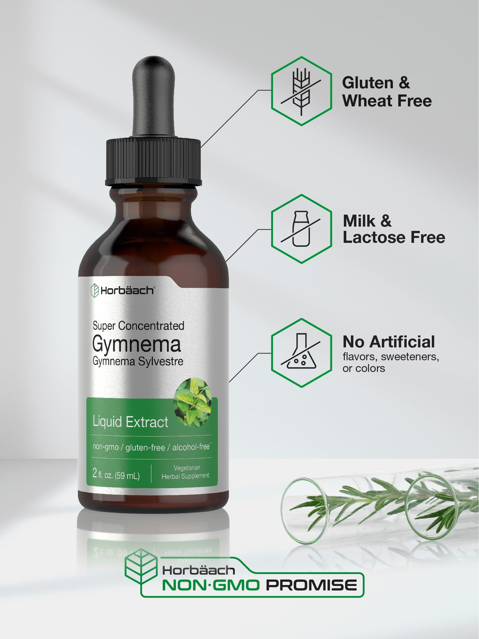 Gymnema Sylvestre Liquid | 2 fl oz | Alcohol Free Supplement | Super Concentrated Horbäach uk supplements