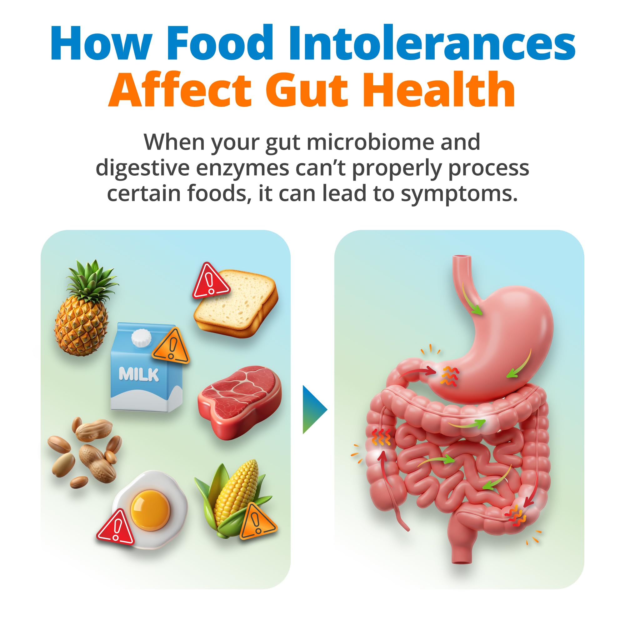 5Strands Gut Health Test for Adults & Kids, 500+ Items Tested, At-Home Hair Sample Screening for Food Intolerances Linked to Digestive Issues, Skin Irritation, Brain Fog & Headaches, Results in 4 Days 5Strands uk supplements