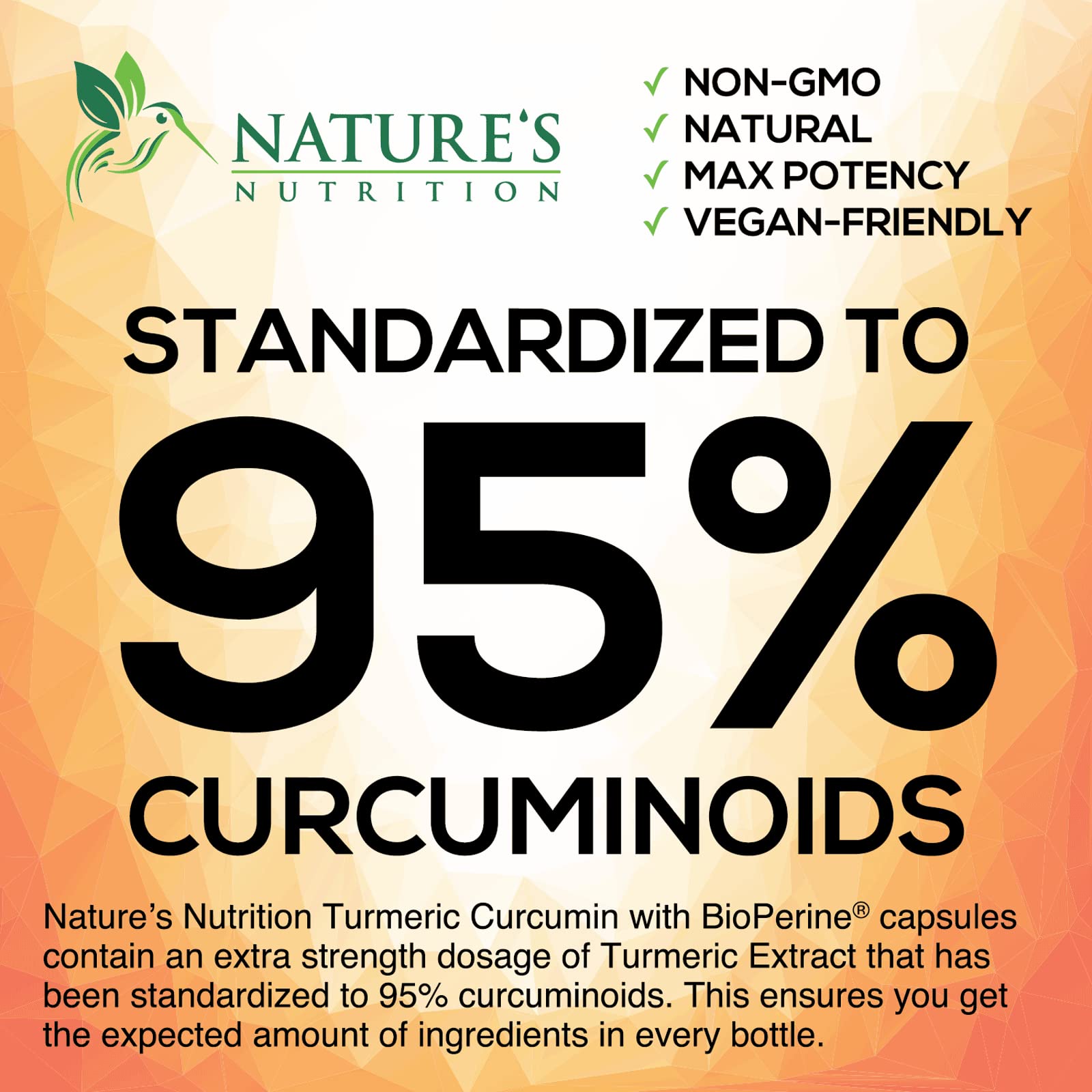 Turmeric Curcumin with BioPerine & Ginger 95% Standardized Curcuminoids Nature's Nutrition uk supplements
