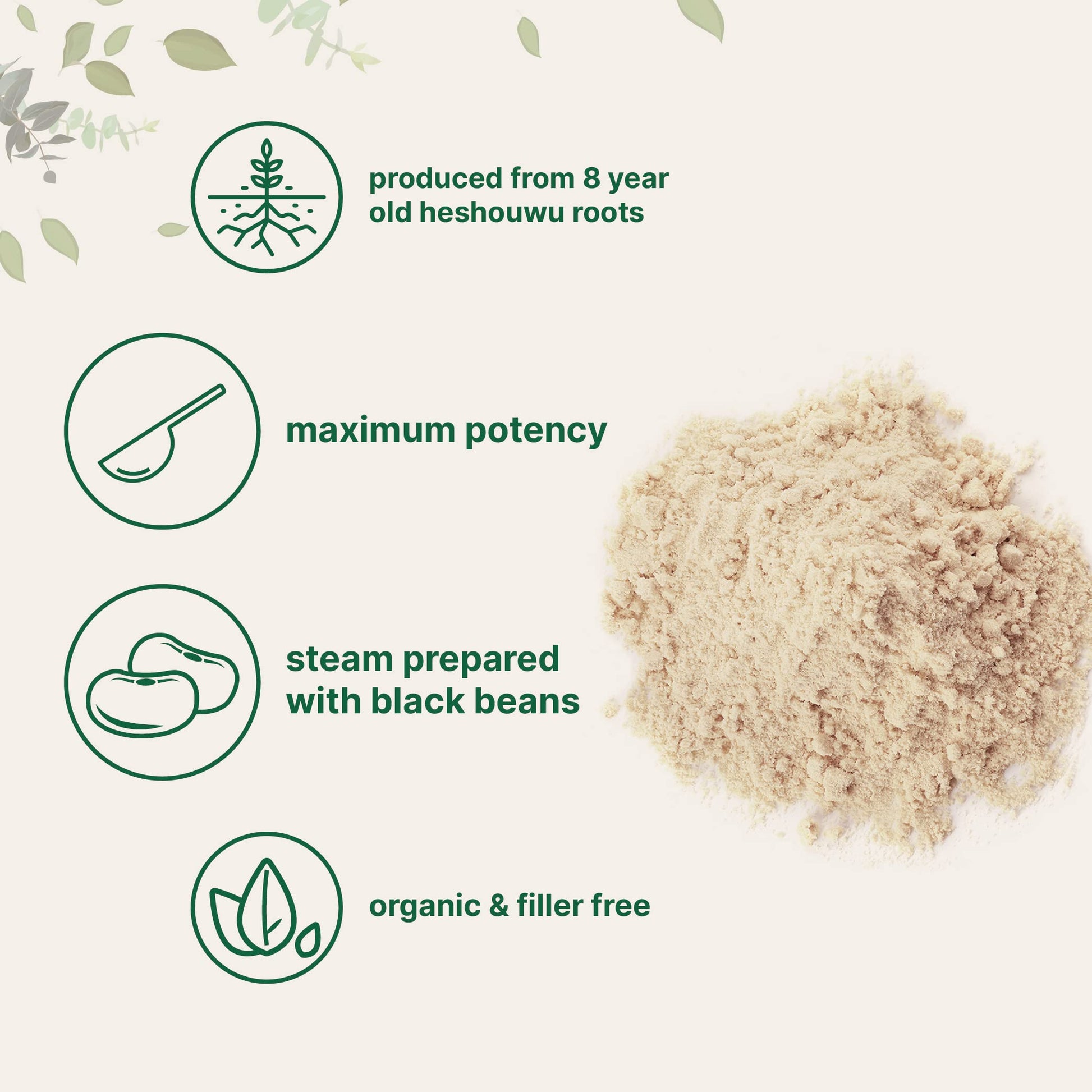 Organic He Shou Wu, Pure Fo Ti Extract Powder, 6 Ounce, Prepared Foti Steaming Micro Ingredients uk supplements