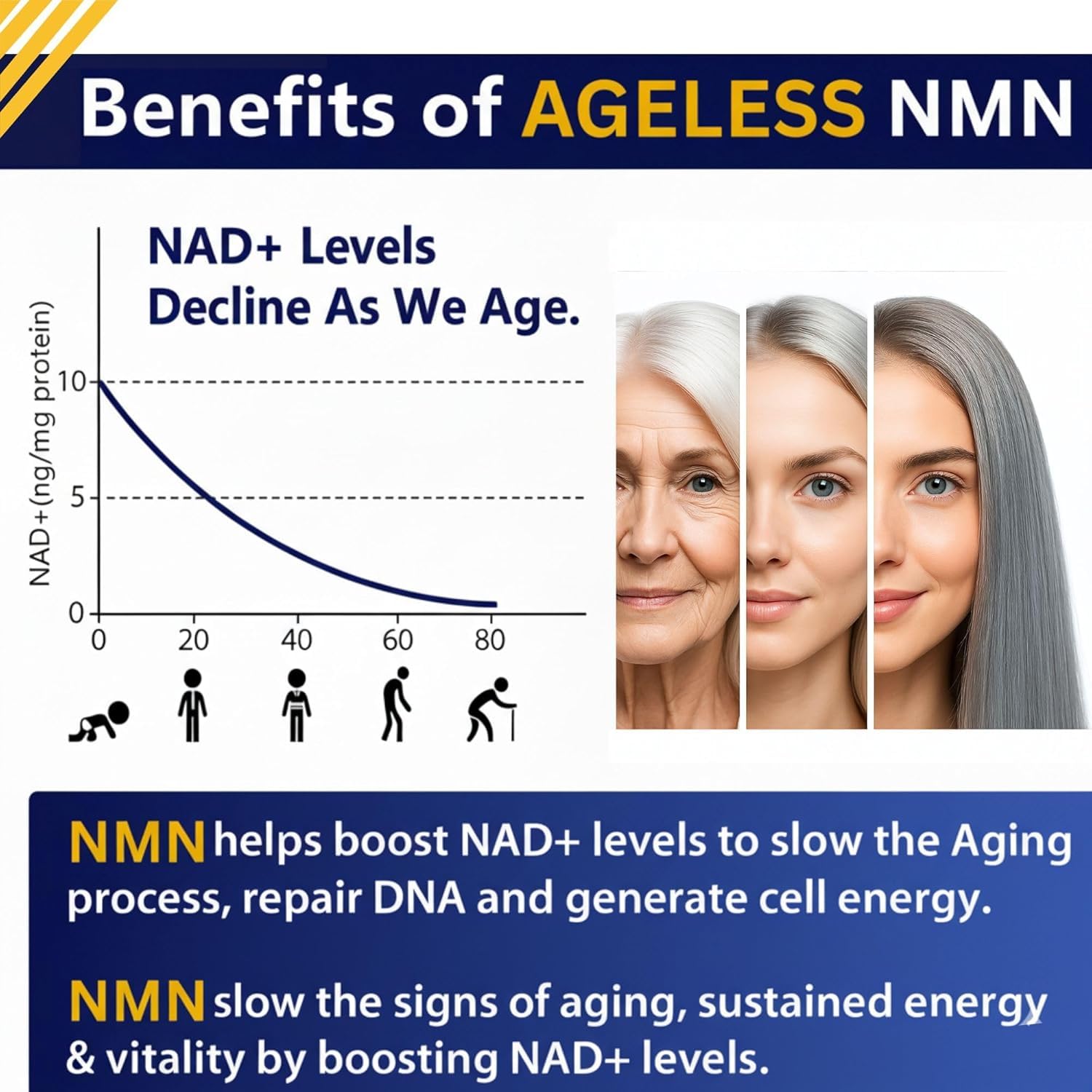 NMN Supplement 500mg Nicotinamide Mononucleotide | Supports NAD+ Levels, Energy, Cognitive Function, Muscle Health & Healthy Body Composition – Capsules (30) Ageless Foundation Laboratories uk supplements