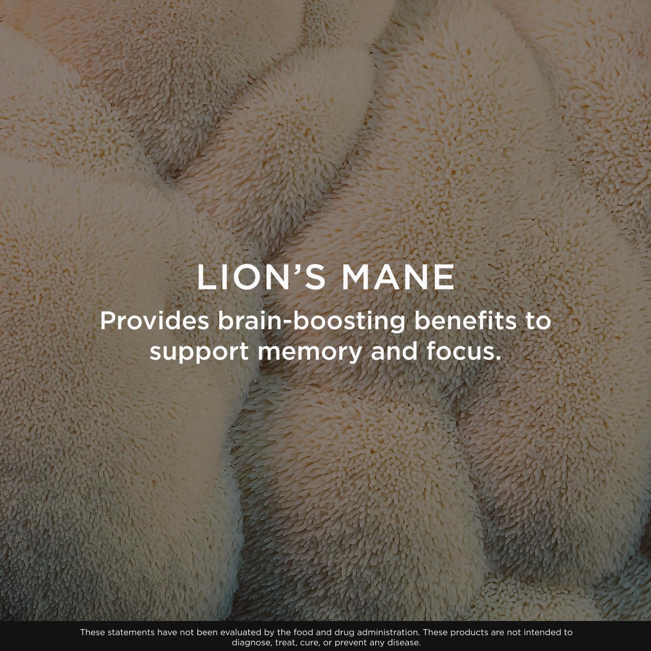 Genius Lion's Mane Soft Chews Supplement – Nootropic Mushroom for Focus, Clarity, Memory, Energy, Brain Health Support – Salted Caramel Flavor The Genius Brand uk supplements