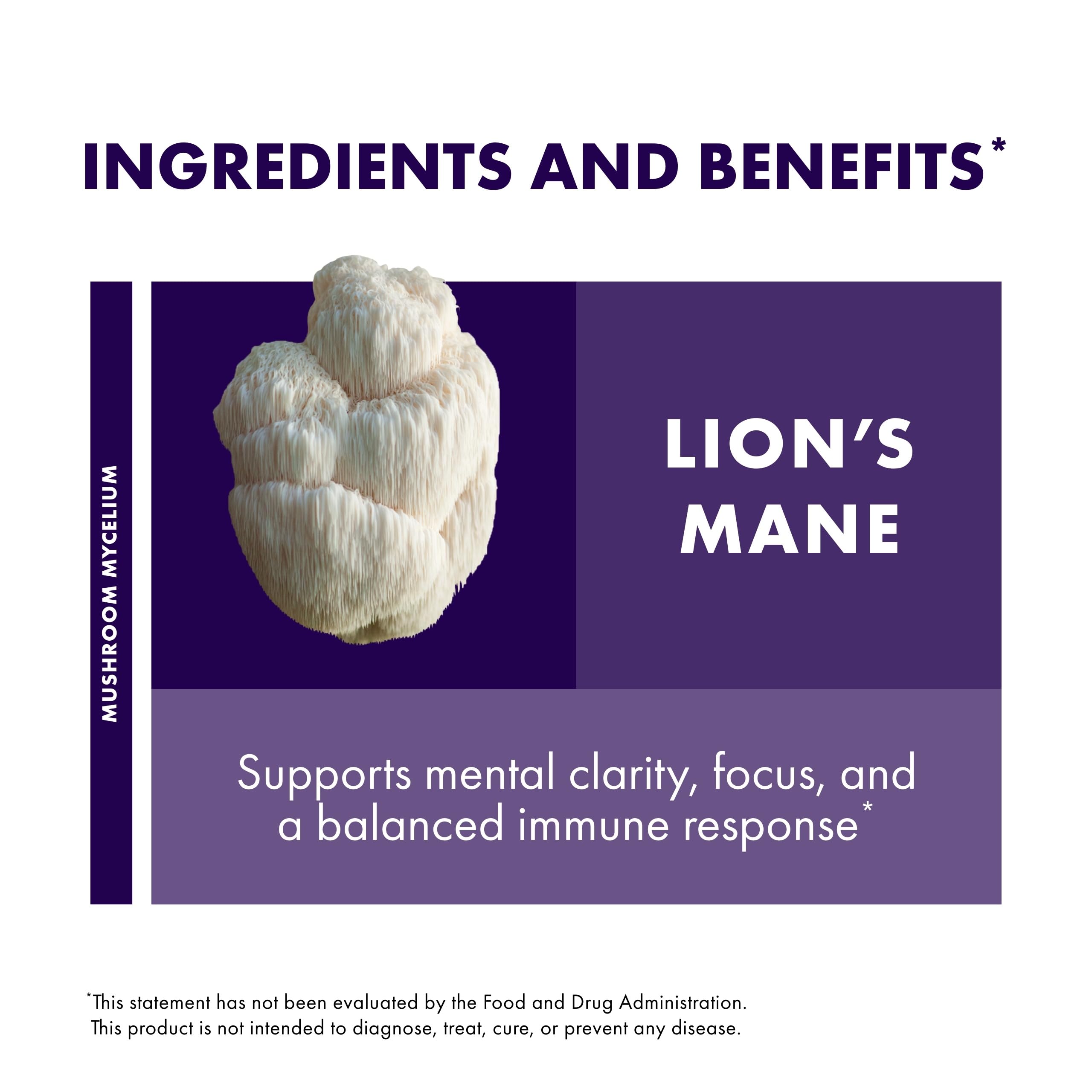 Host Defense Mushrooms Lion's Mane - Brain Health Support Supplement for Focus & Memory Function - Immune & Nervous System Support Supplement- 30 Capsules Host Defense uk supplements