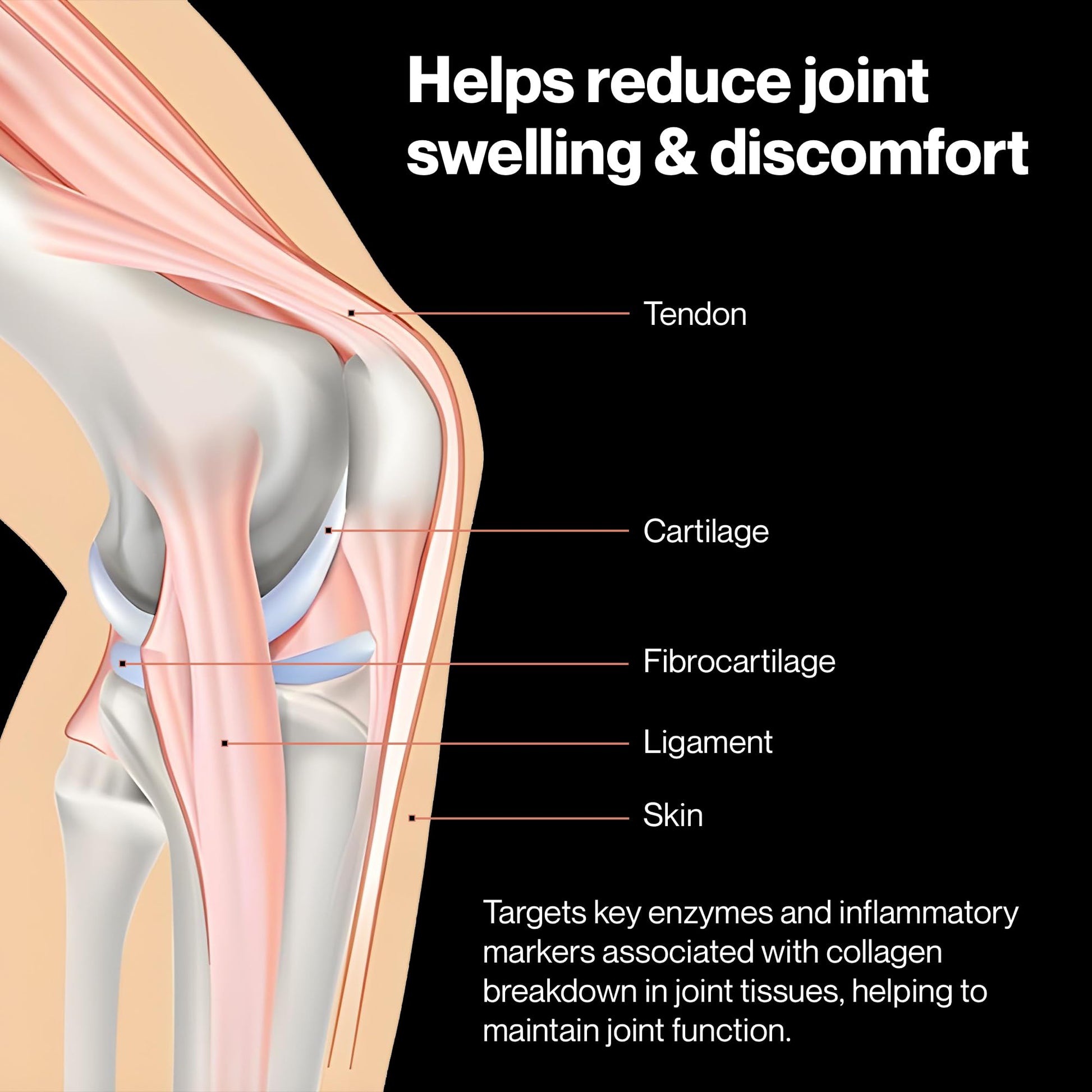 PUREFUNCTION Collagen Repair Joint Support Supplement - Boswellia, Turmeric, Hyaluronic Acid, EGCG, and Undenatured Collagen for Joint Maintenance and Repair - 60 Capsules PUREFUNCTION uk supplements
