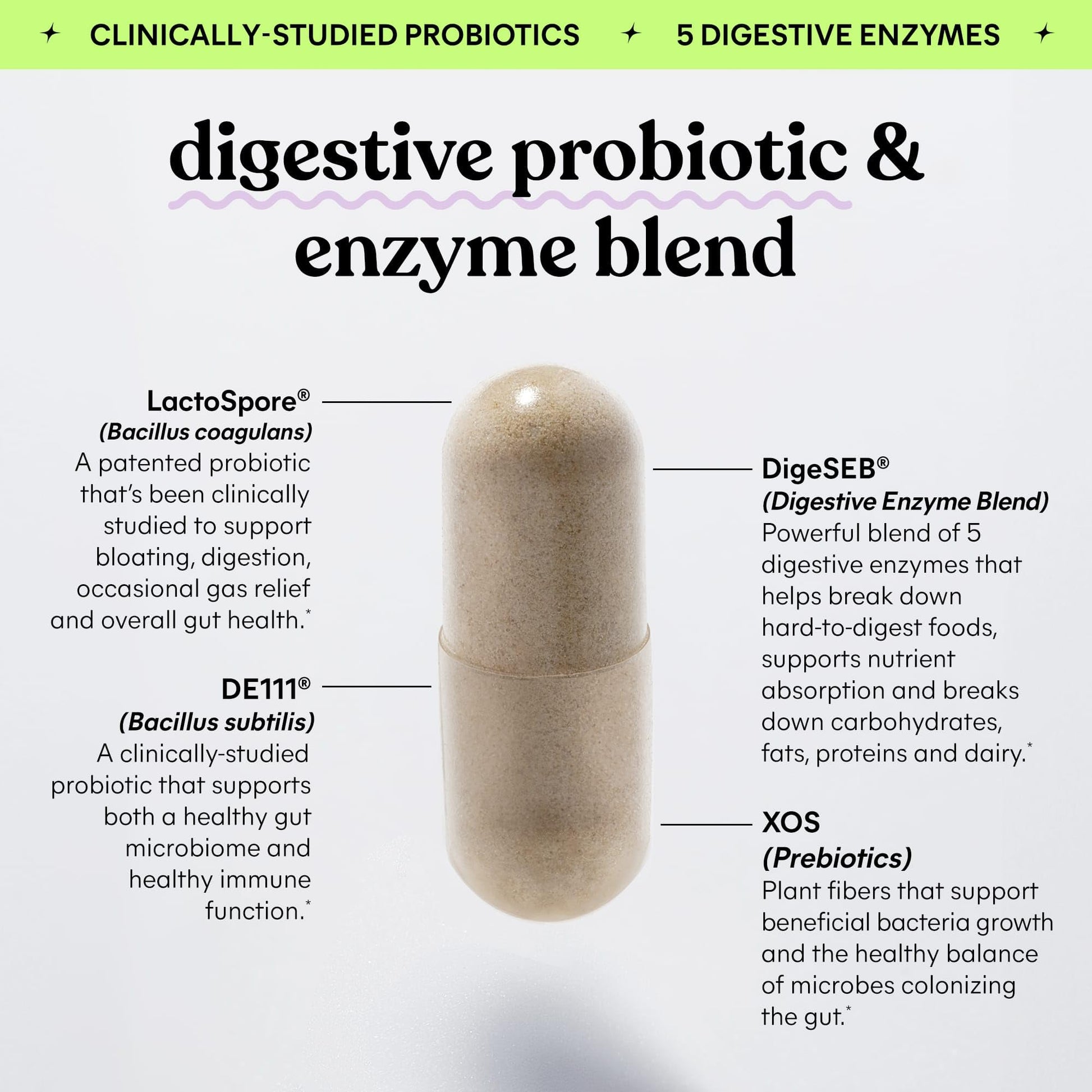 Lemme Debloat 3-in-1 Prebiotic, Probiotic & Digestive Enzyme Capsules for Bloating & Gas Relief - 2 Clinically Studied Probiotics w/5 Digestive Enzymes to Improve Digestion, Women & Men, (60 Count) Lemme uk supplements