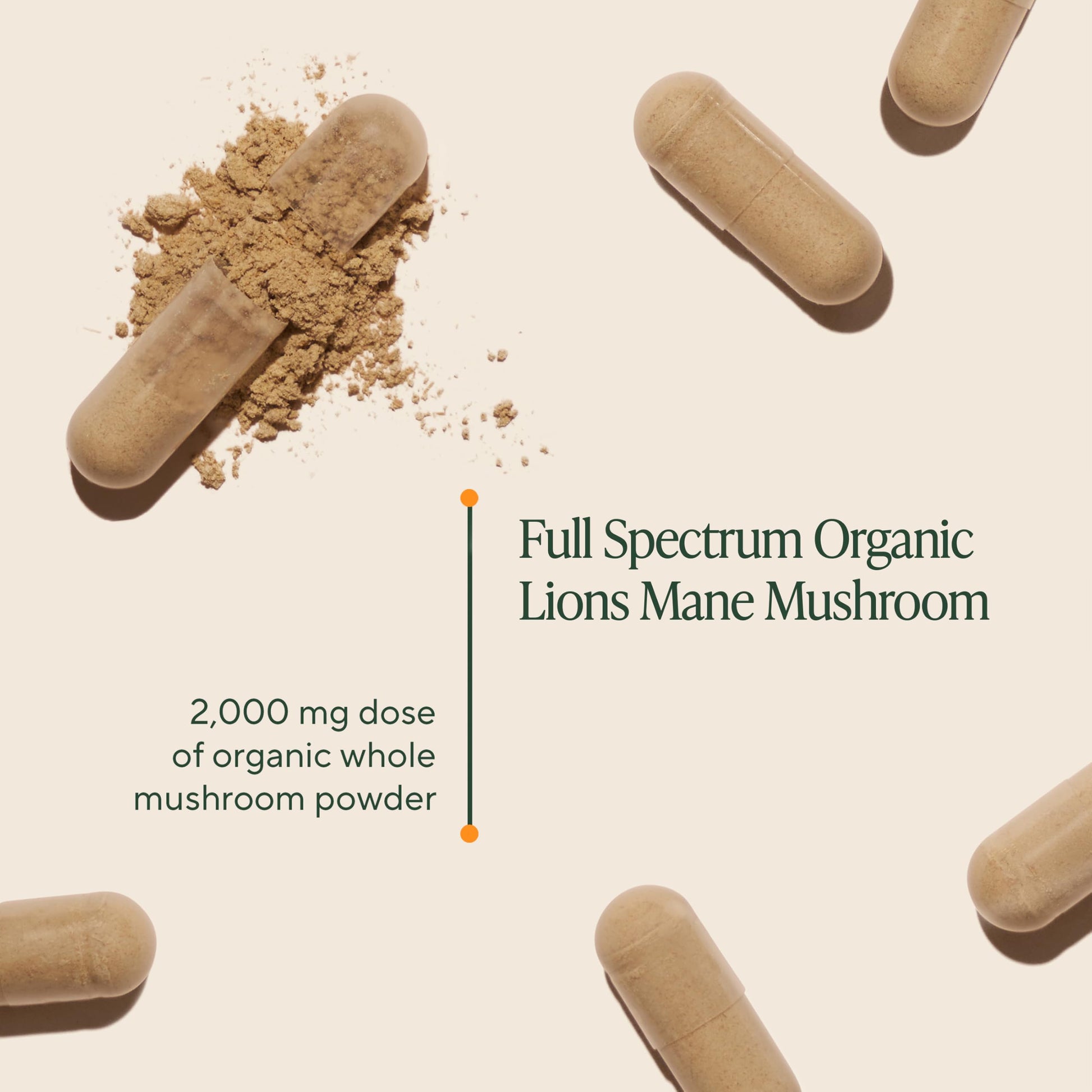 Om Lion’s Mane Mushroom Capsules - Organic Mushroom Supplement and Nootropic - Brain Supplements for Memory and Focus, 180 Count (60 Servings) OM MUSHROOM SUPERFOOD uk supplements
