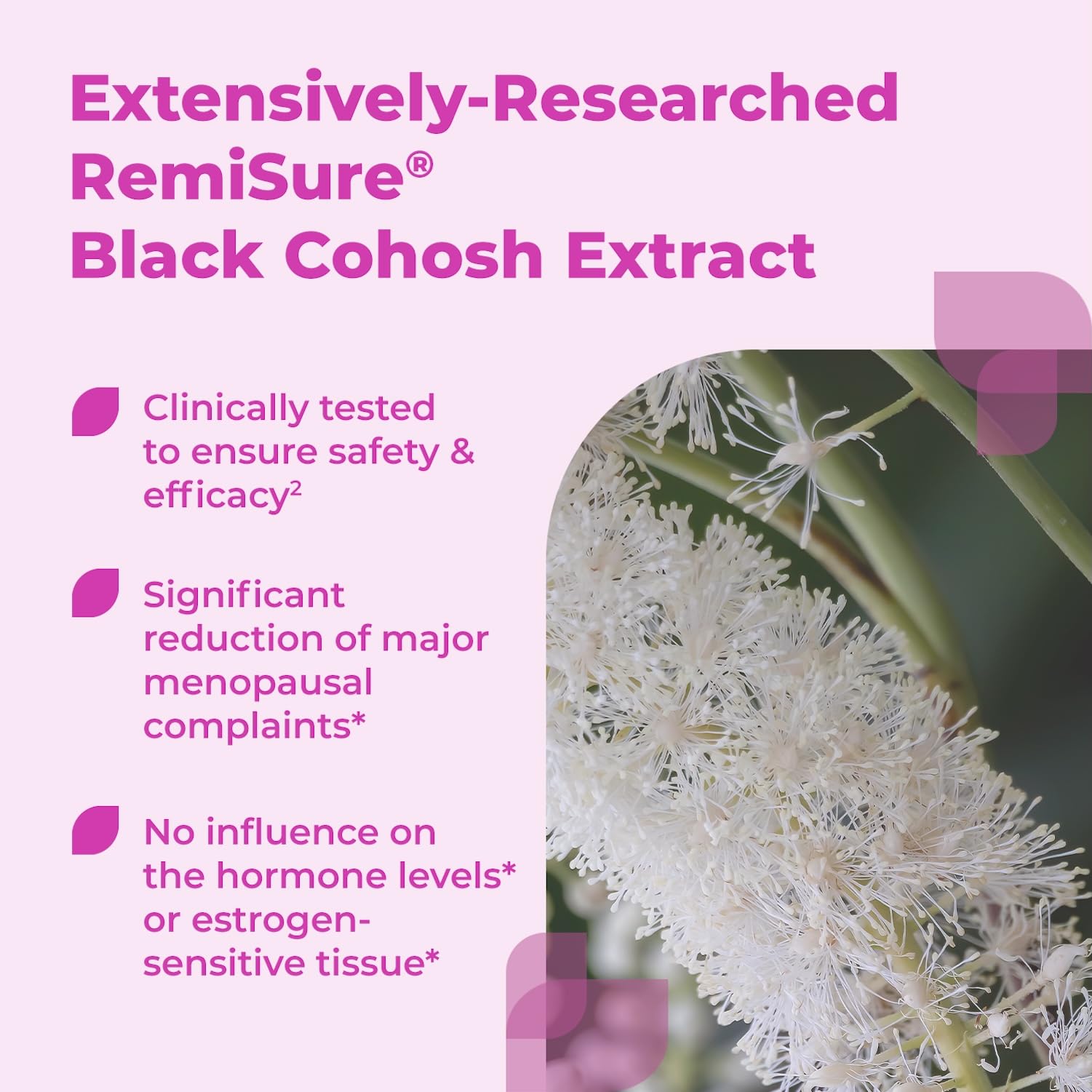 Remifemin Menopause Symptoms Relief - Clinically Proven Ingredients - Menopause Supplements - Black Cohosh - Estrogen-Free - Made in Germany - 60 Tablets Remifemin uk supplements