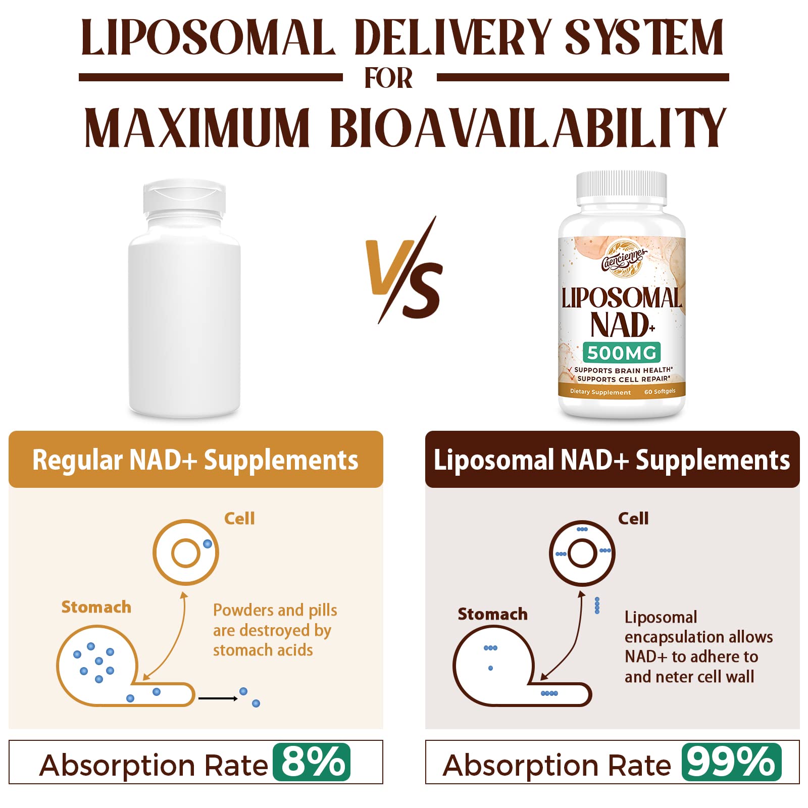 Caenciennes Liposomal NAD+ 500 MG Supplement, True NAD Plus Supplement, Superior Absorption, Boost NAD+ More Efficient Than Nicotinamide Riboside for Cellular Energy, Healthy Aging, 60 Serving Caenciennes uk supplements
